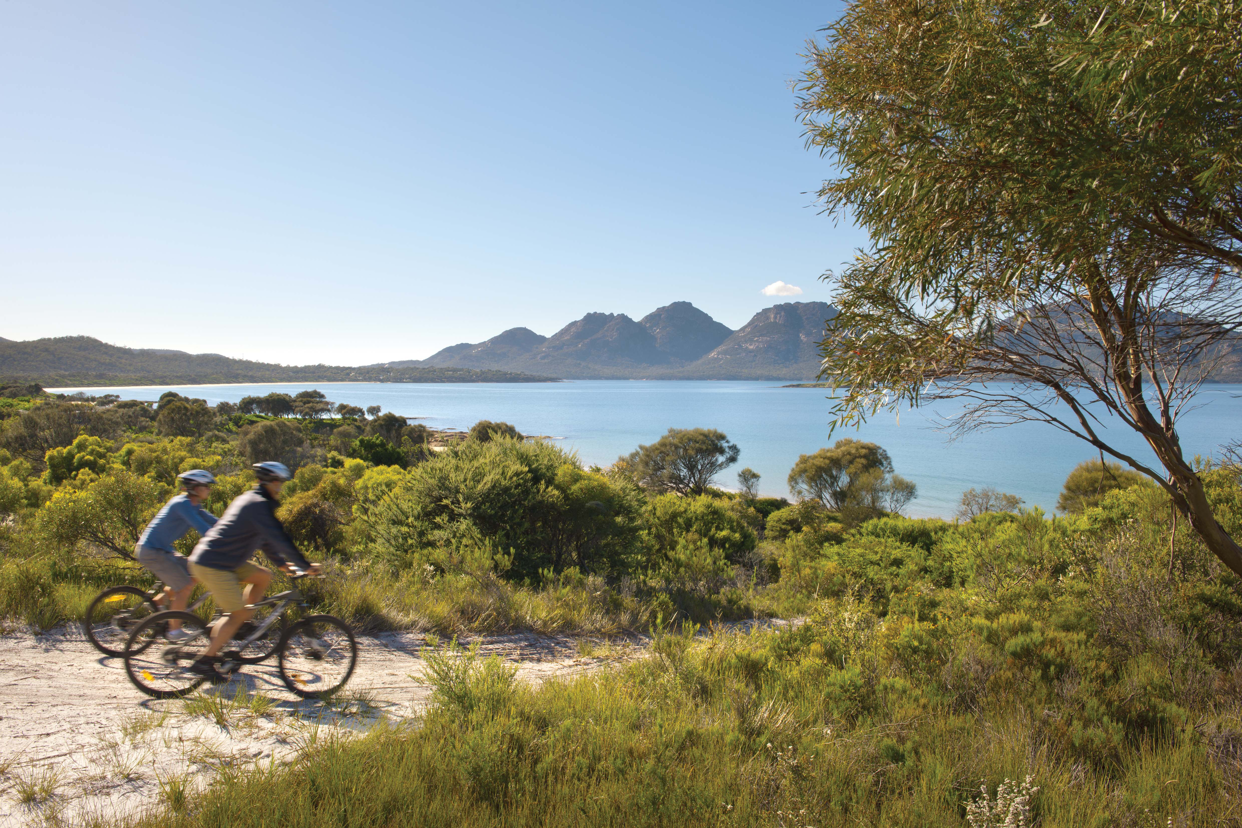 Two mountain bikers ride along a sandy trail near Freycinet, with blue bays and rugged peaks in the distance.