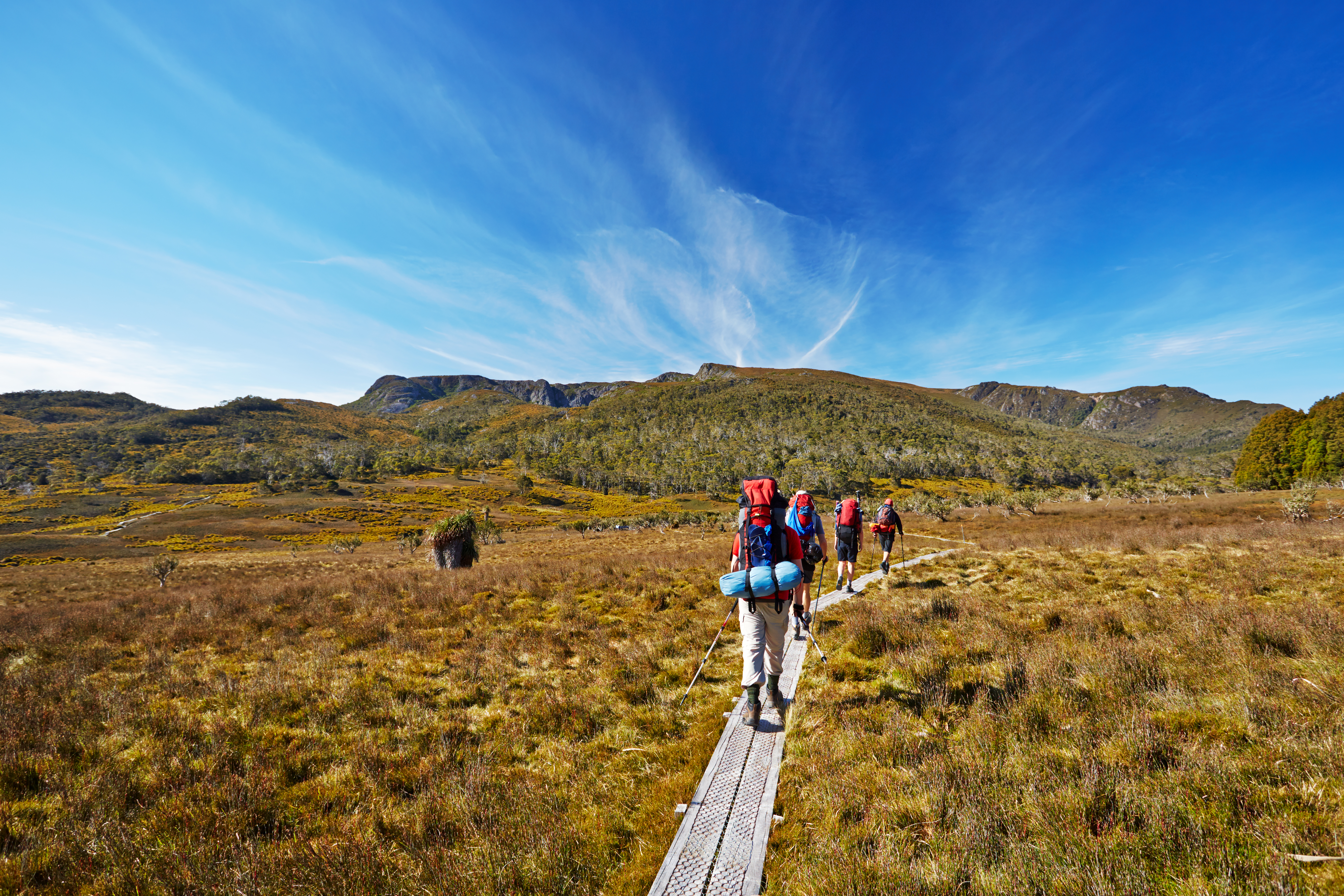 Hikers walk across a wooden boardwalk through alpine heath, with mountains rising beneath a sweeping sky.