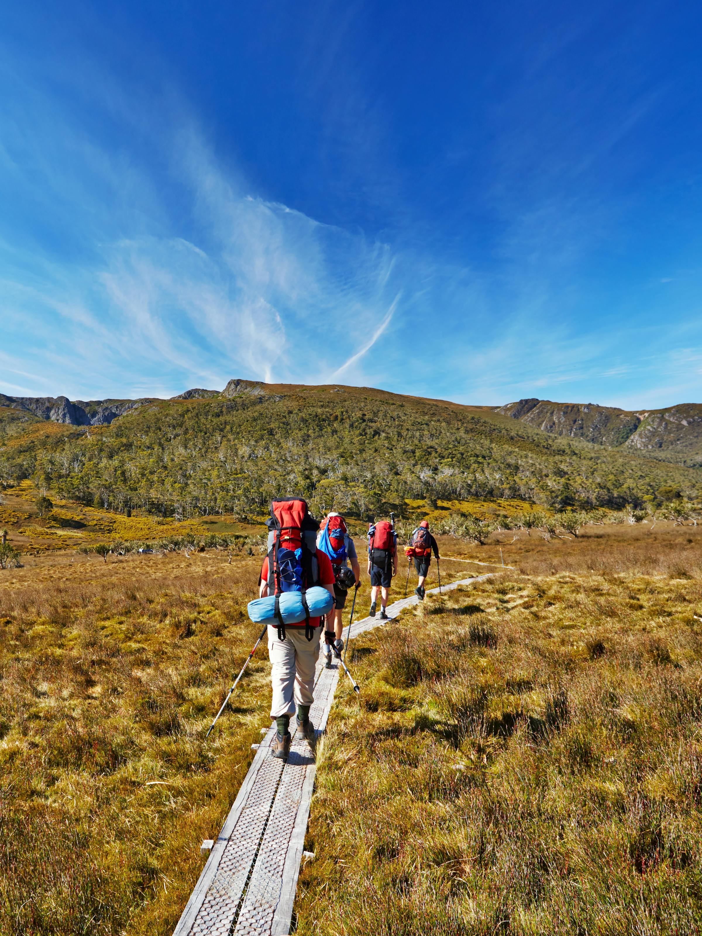Hikers walk across a wooden boardwalk through alpine heath, with mountains rising beneath a sweeping sky.