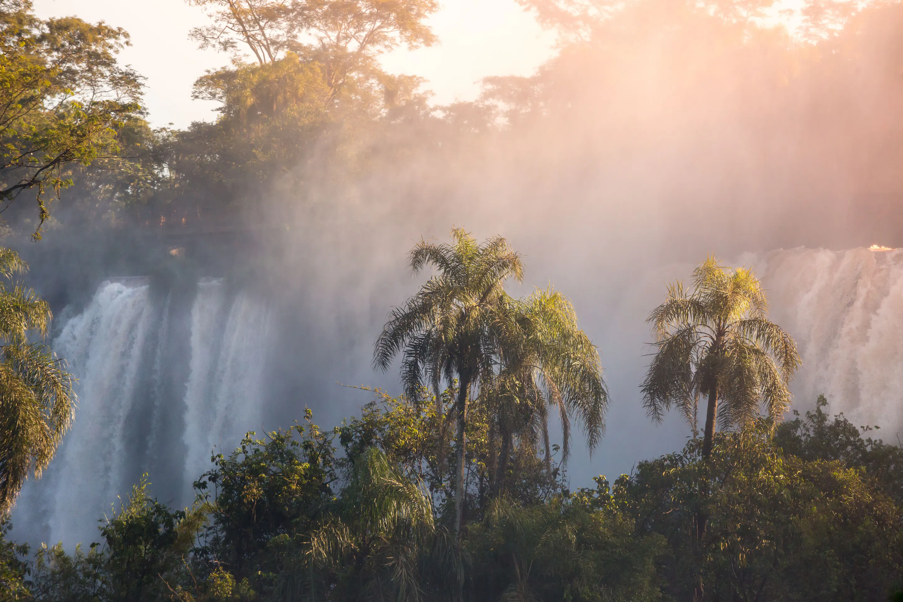 Sunlight filters through mist at Iguazu Falls, where palm trees frame roaring curtains of water plunging below.