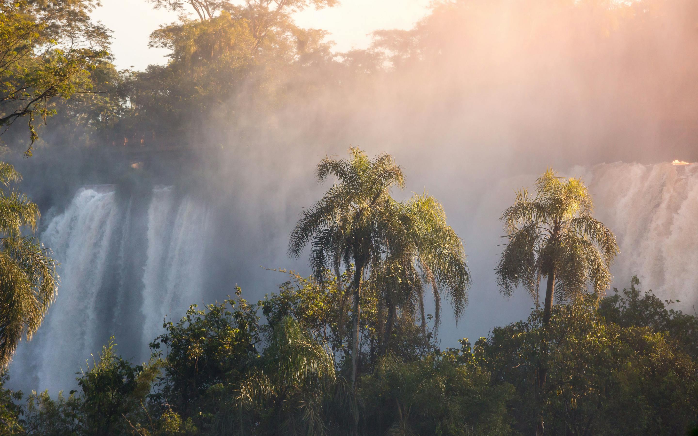 Sunlight filters through mist at Iguazu Falls, where palm trees frame roaring curtains of water plunging below.