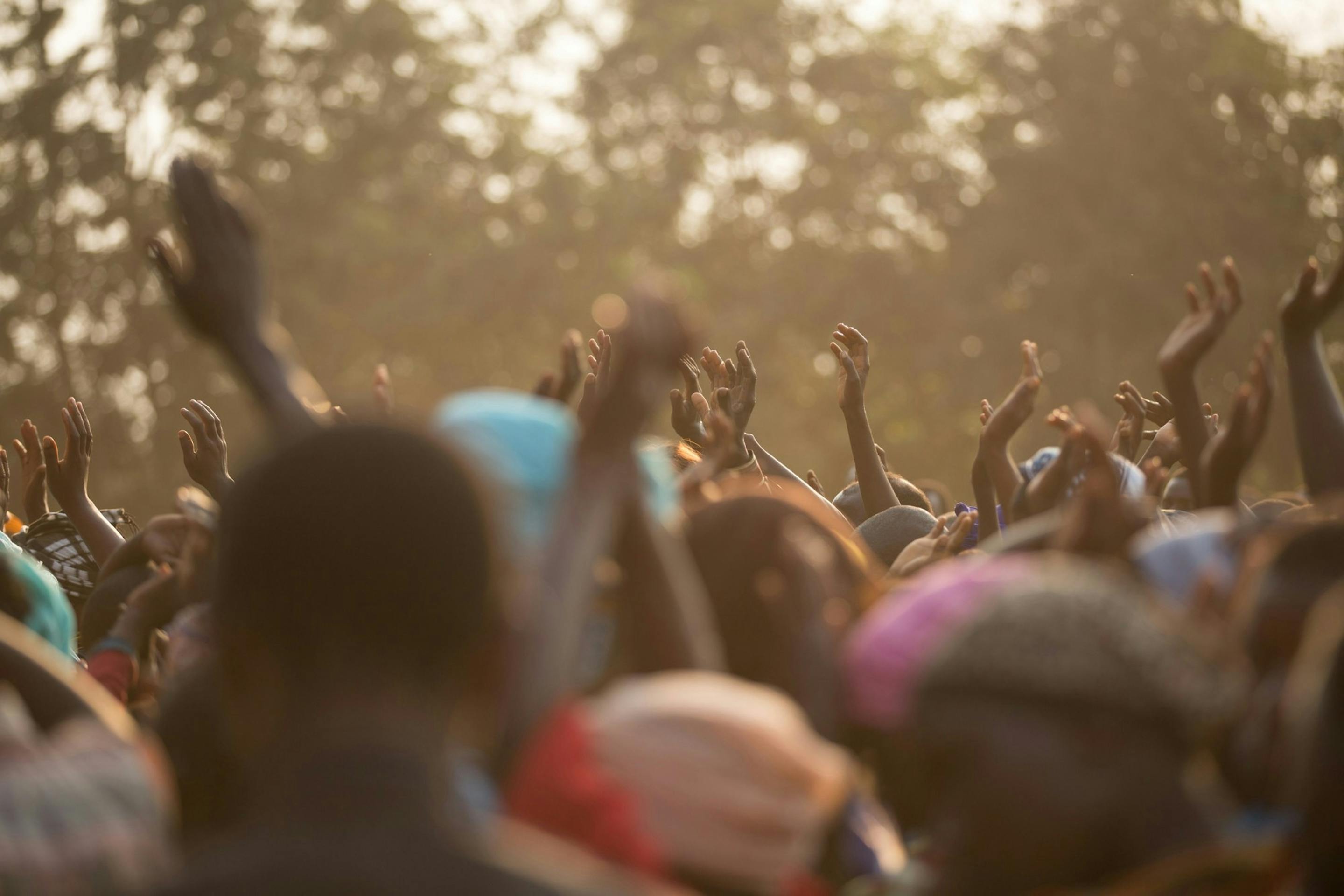 A crowd of people stands outdoors with their hands raised in the air. The scene is softly backlit by warm sunlight filtering through trees, creating a glowing, atmospheric effect.