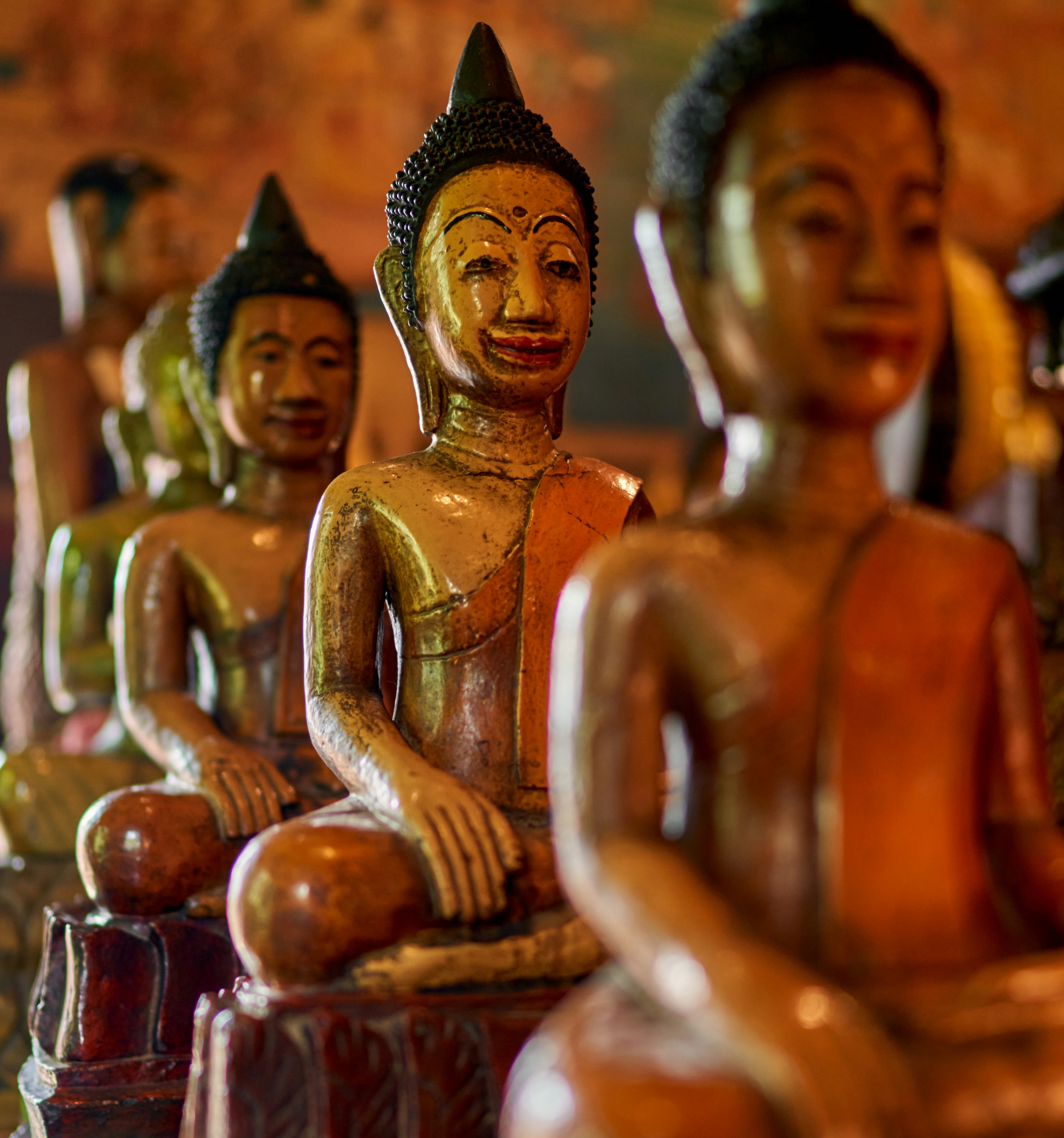A row of golden Buddha statues sits in soft, warm light. The closest statue is in sharp focus, showing serene facial features and detailed craftsmanship, while the others recede into a gentle blur behind it.