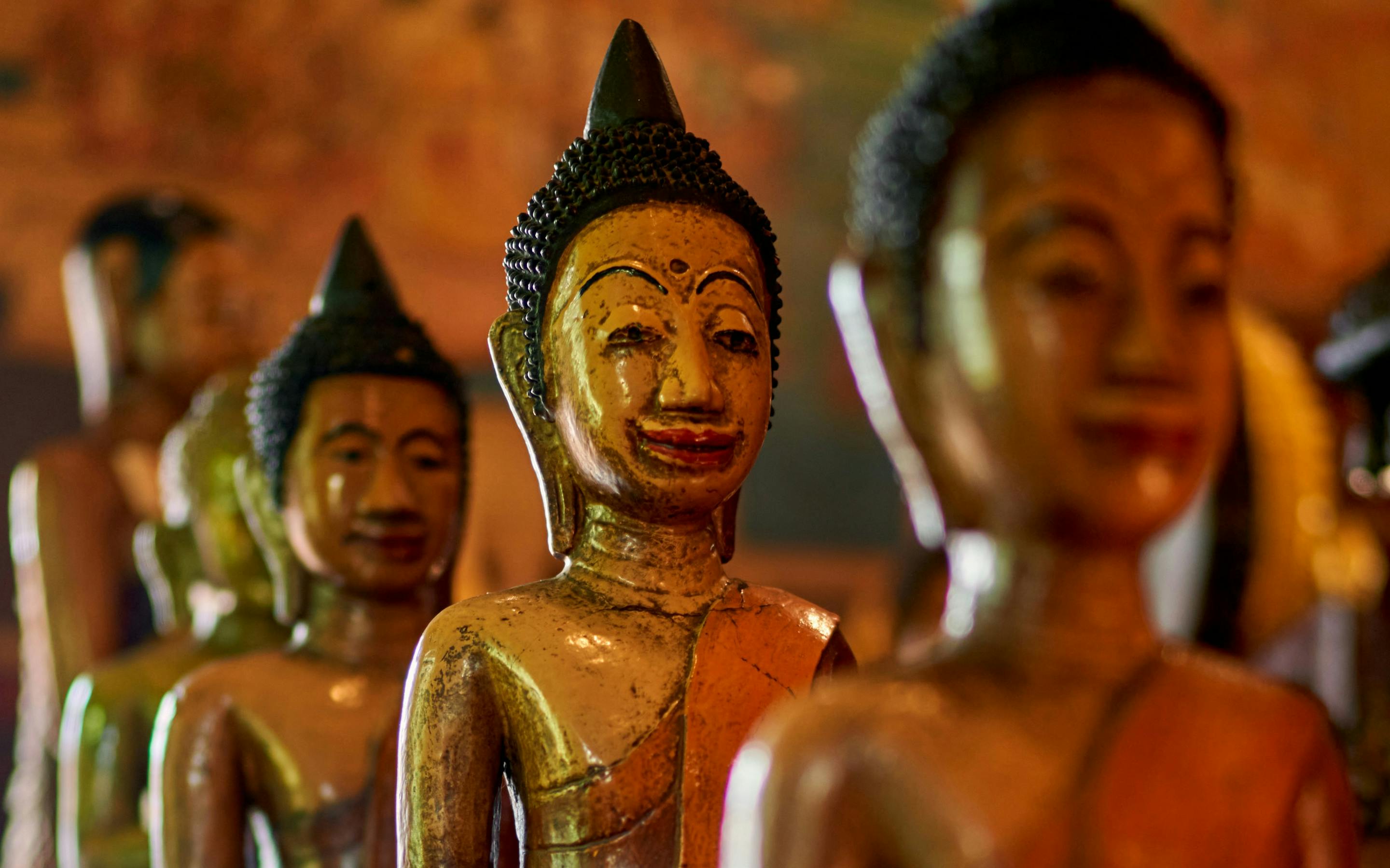 A row of golden Buddha statues sits in soft, warm light. The closest statue is in sharp focus, showing serene facial features and detailed craftsmanship, while the others recede into a gentle blur behind it.