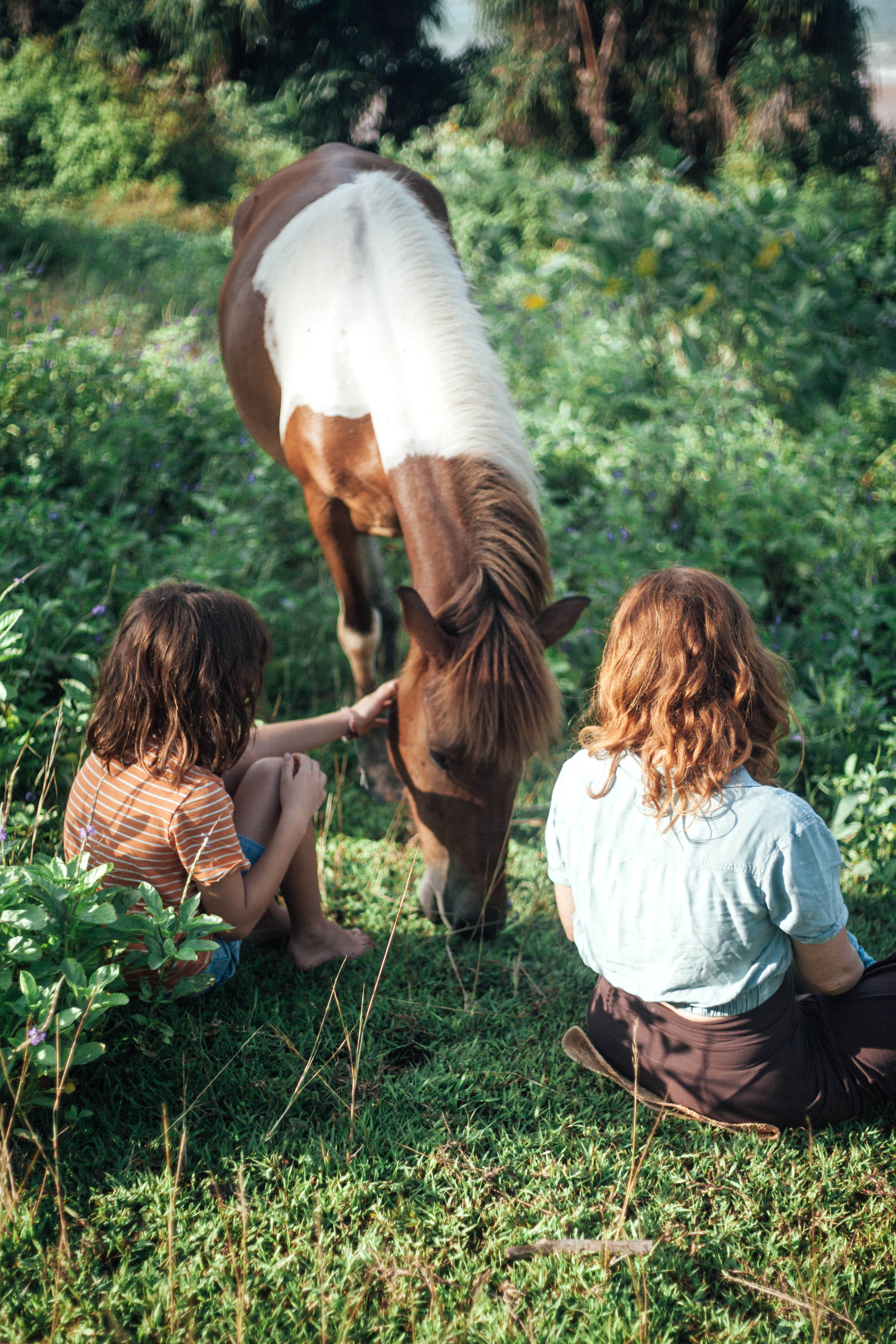 Two people sit in grass beside a white horse in a green field.