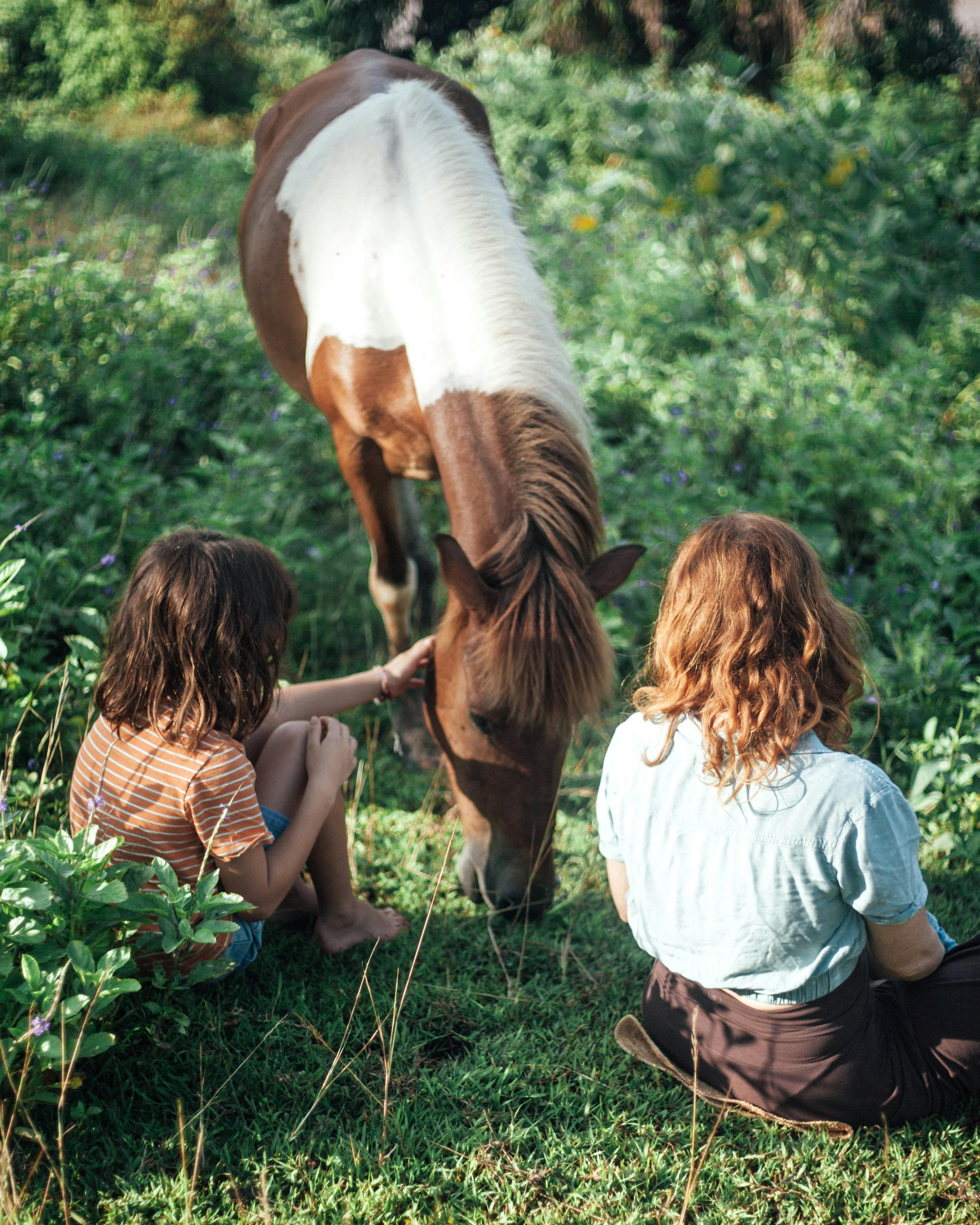Two people sit in grass beside a white horse in a green field.