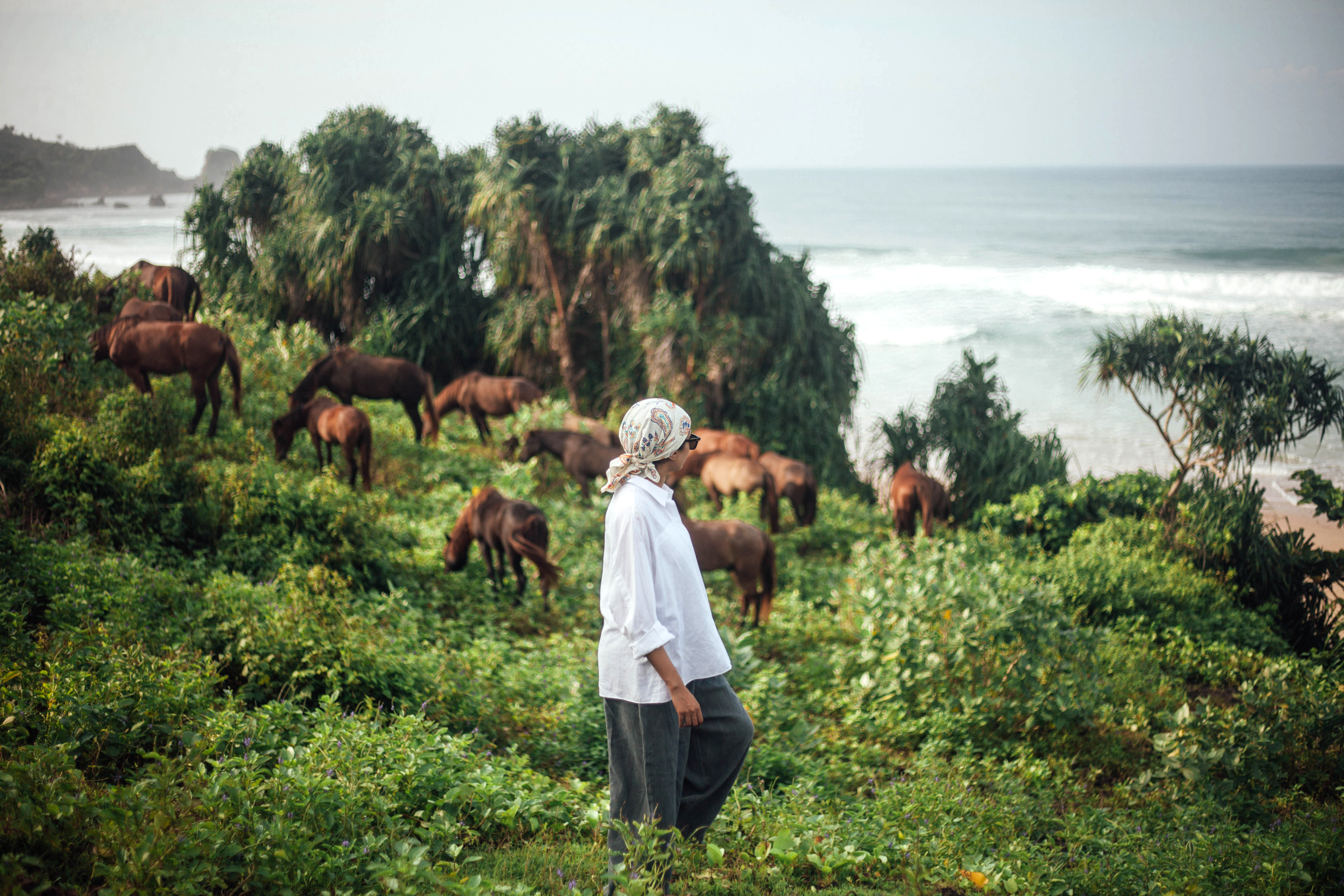 Person stands in green grass watching horses graze near the ocean.