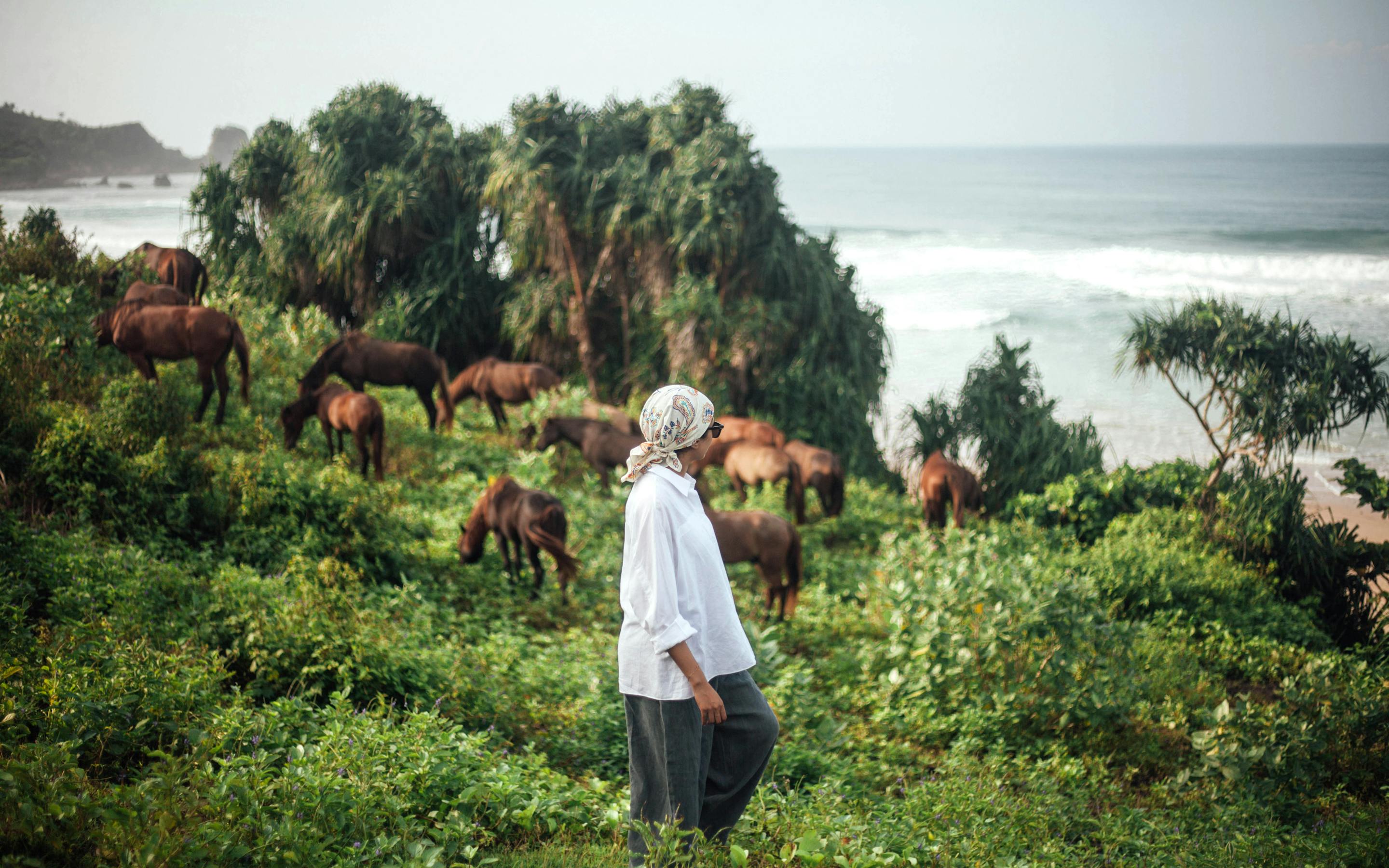 Person stands in green grass watching horses graze near the ocean.