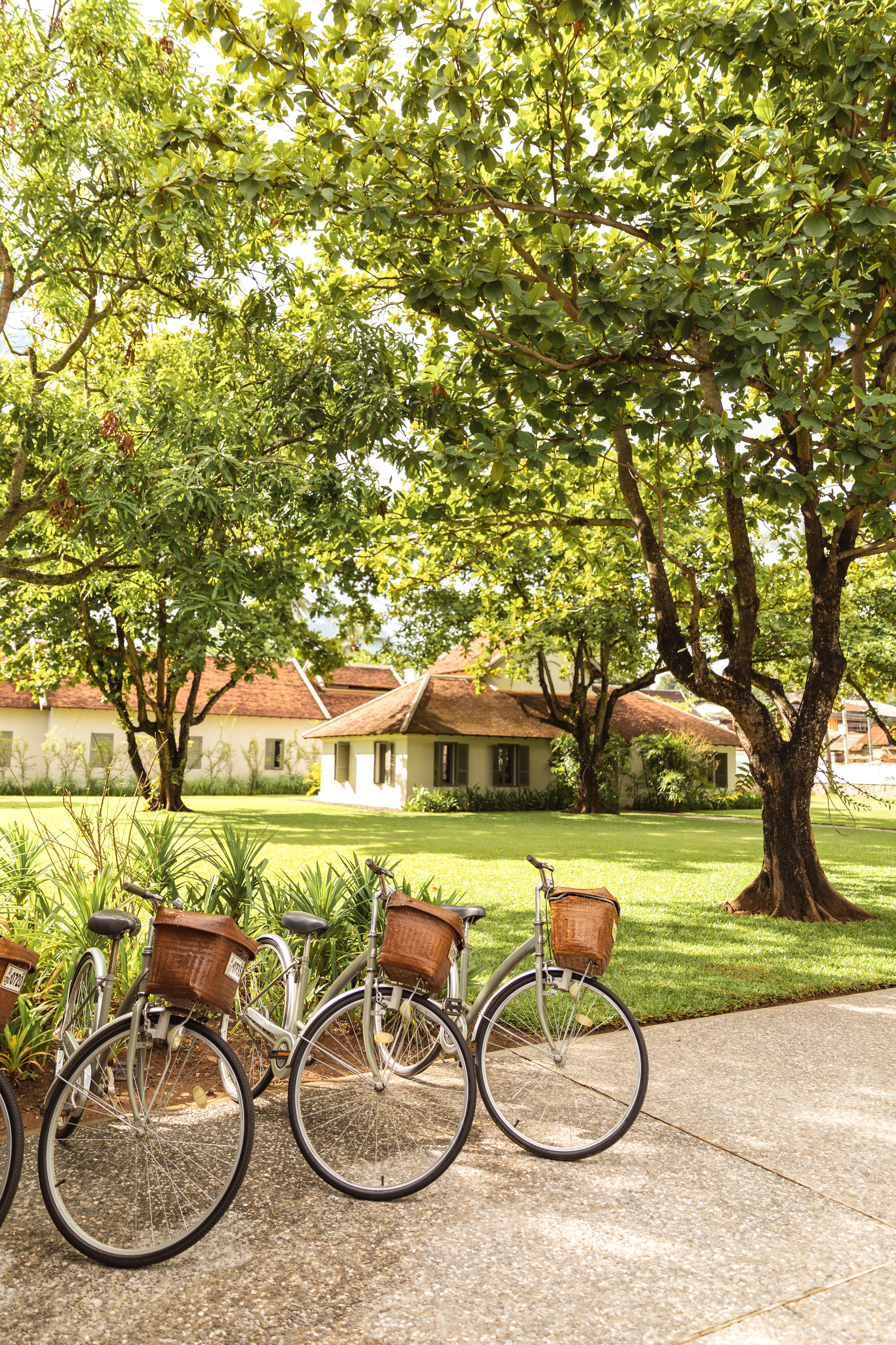 Two bicycles rest on a path under trees near a small building.