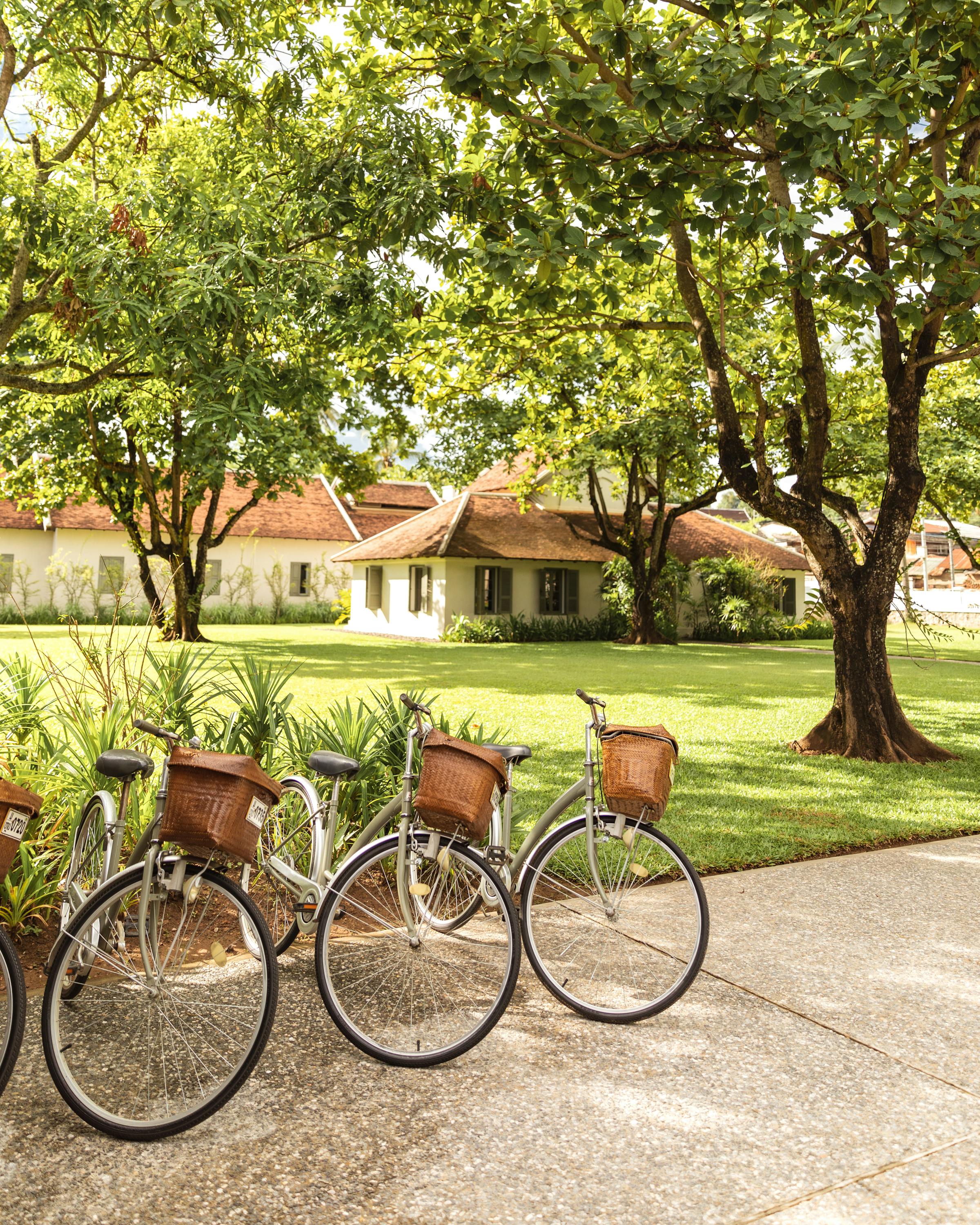 Two bicycles rest on a path under trees near a small building.