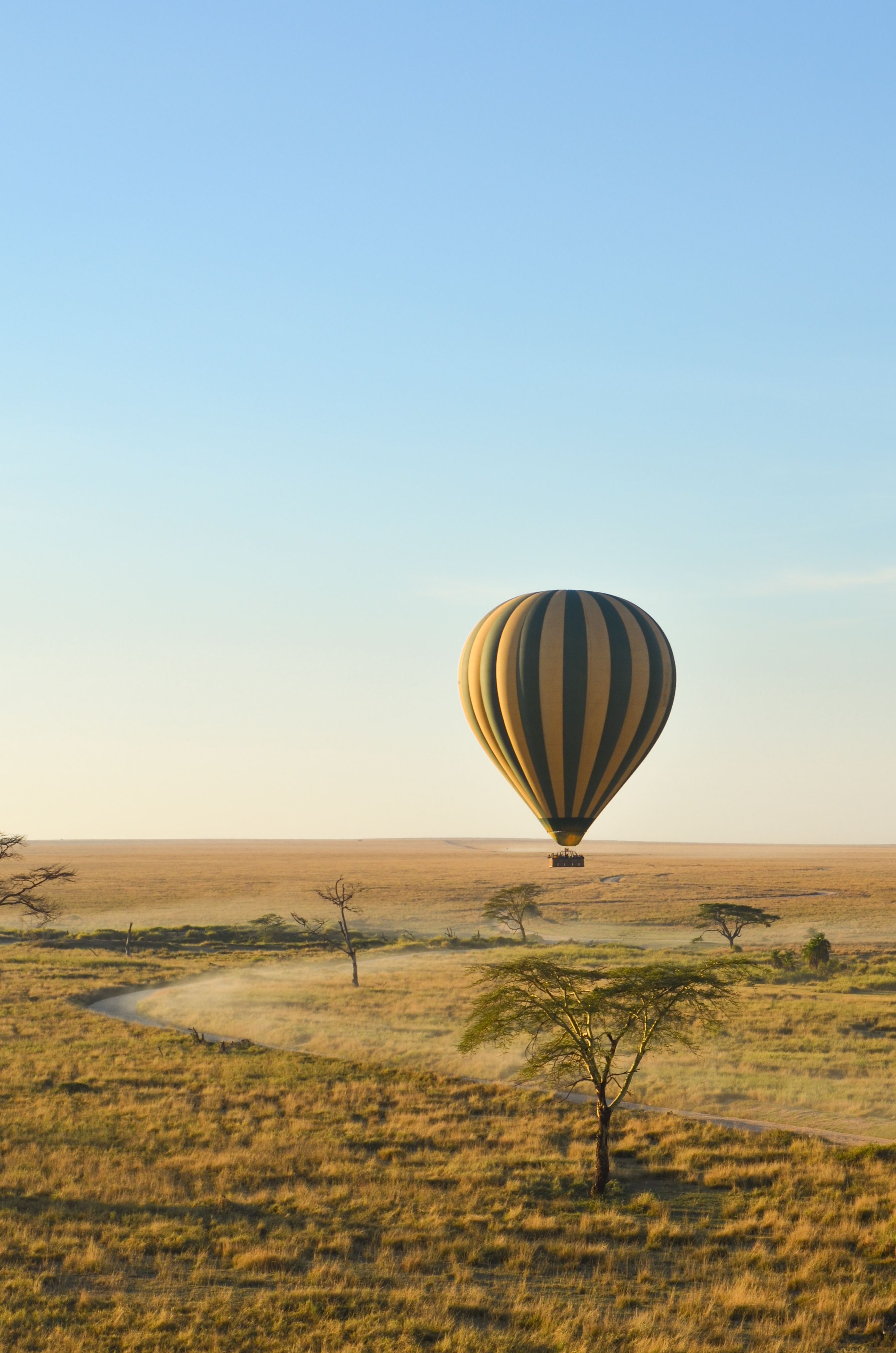 A hot air balloon floats over a golden savanna at dawn, with scattered trees and a pale sky in the distance.