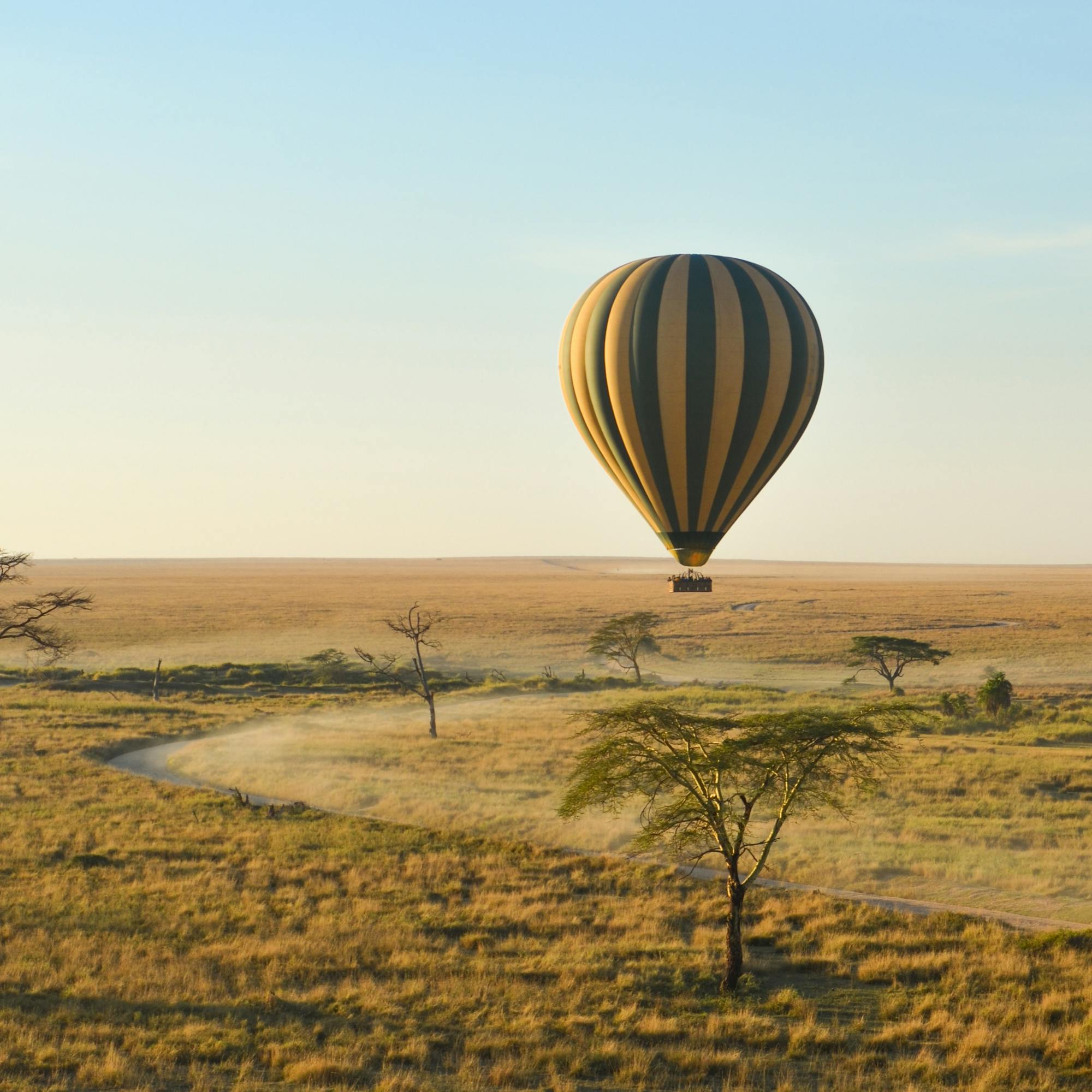 A hot air balloon floats over a golden savanna at dawn, with scattered trees and a pale sky in the distance.