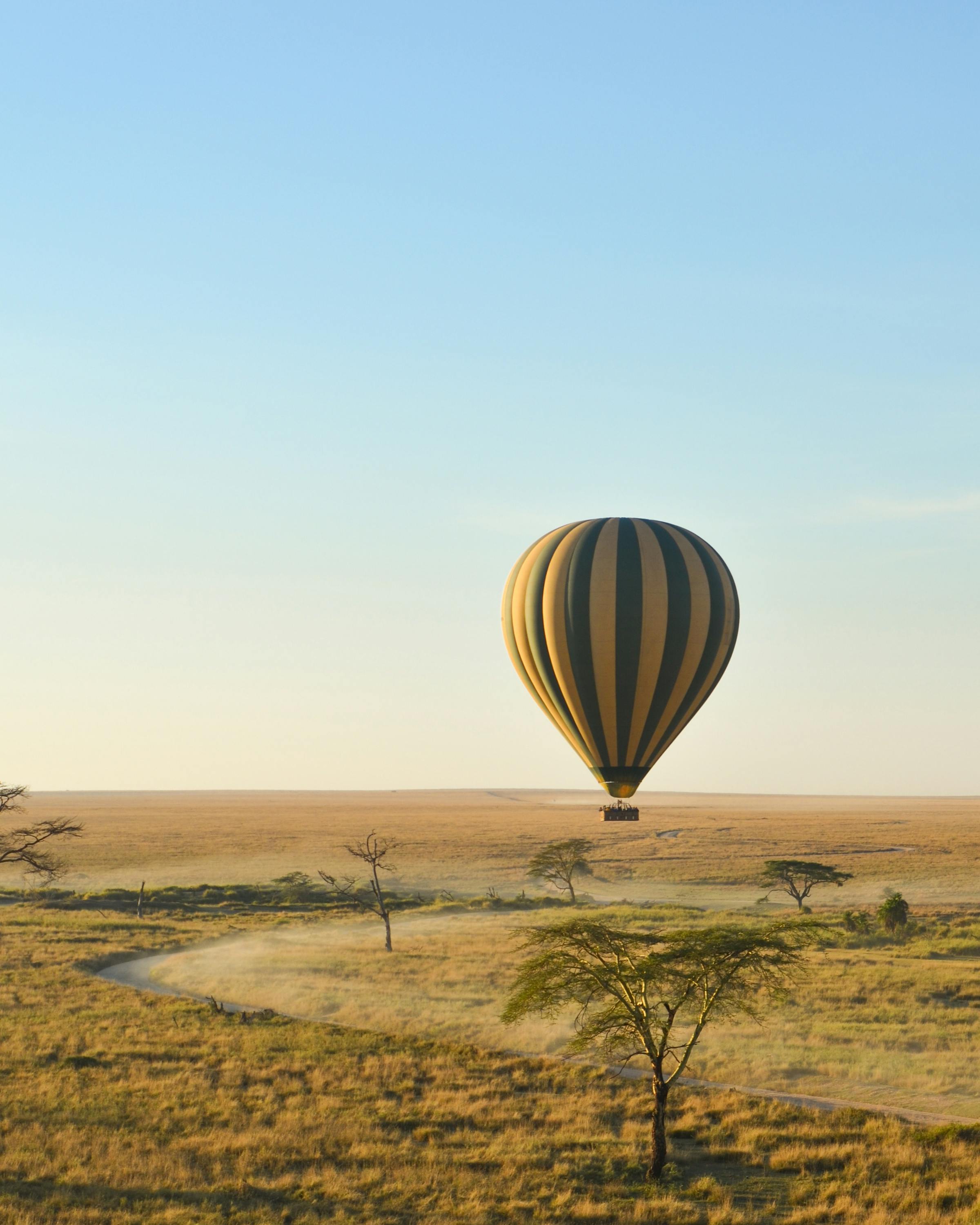 A hot air balloon floats over a golden savanna at dawn, with scattered trees and a pale sky in the distance.
