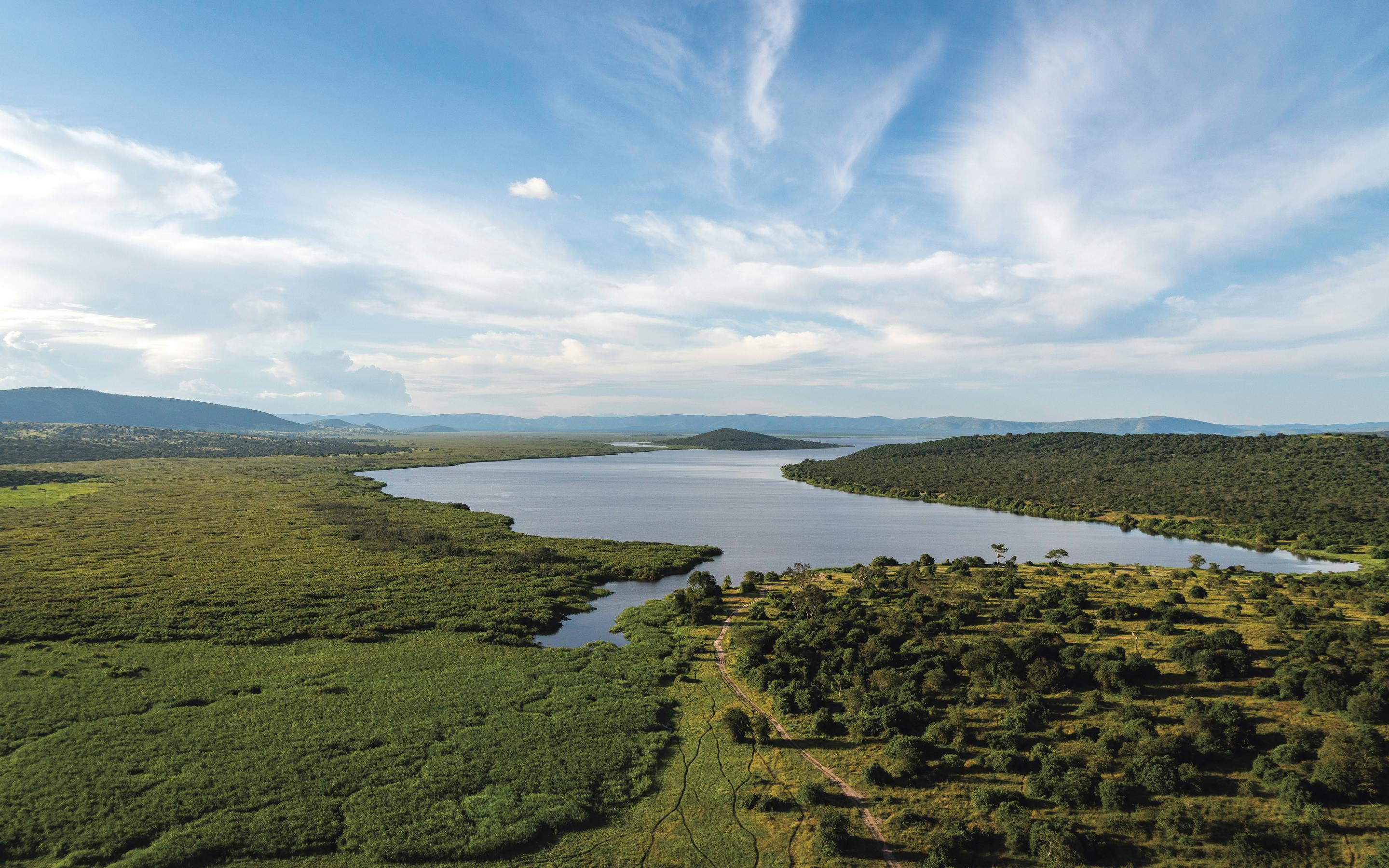 Aerial view of a winding river through green wetlands, with narrow channels and sandbars under soft light.