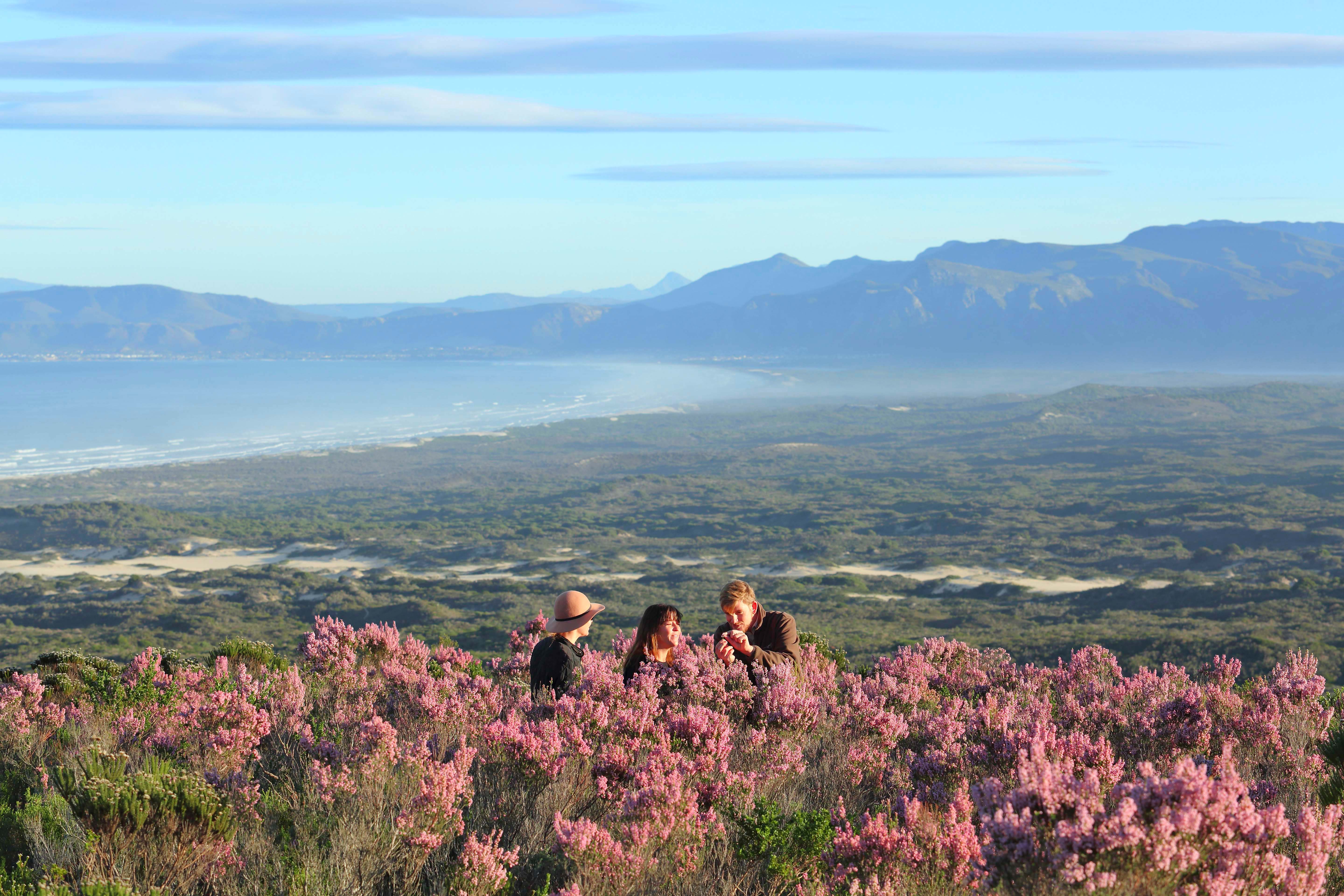 Three people sit among pink wildflowers, looking out over a wide valley and distant mountains under a clear blue sky.