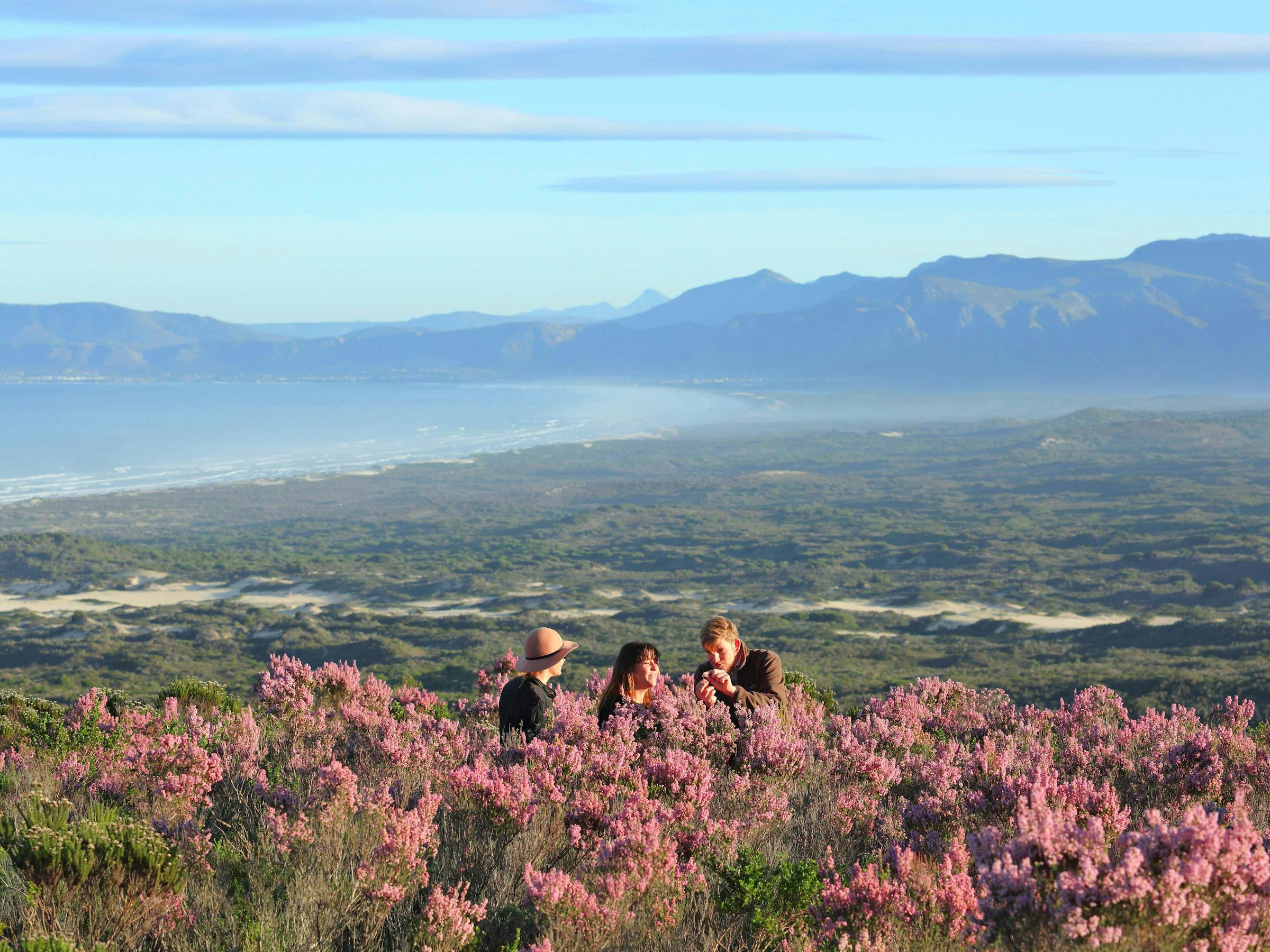 Three people sit among pink wildflowers, looking out over a wide valley and distant mountains under a clear blue sky.