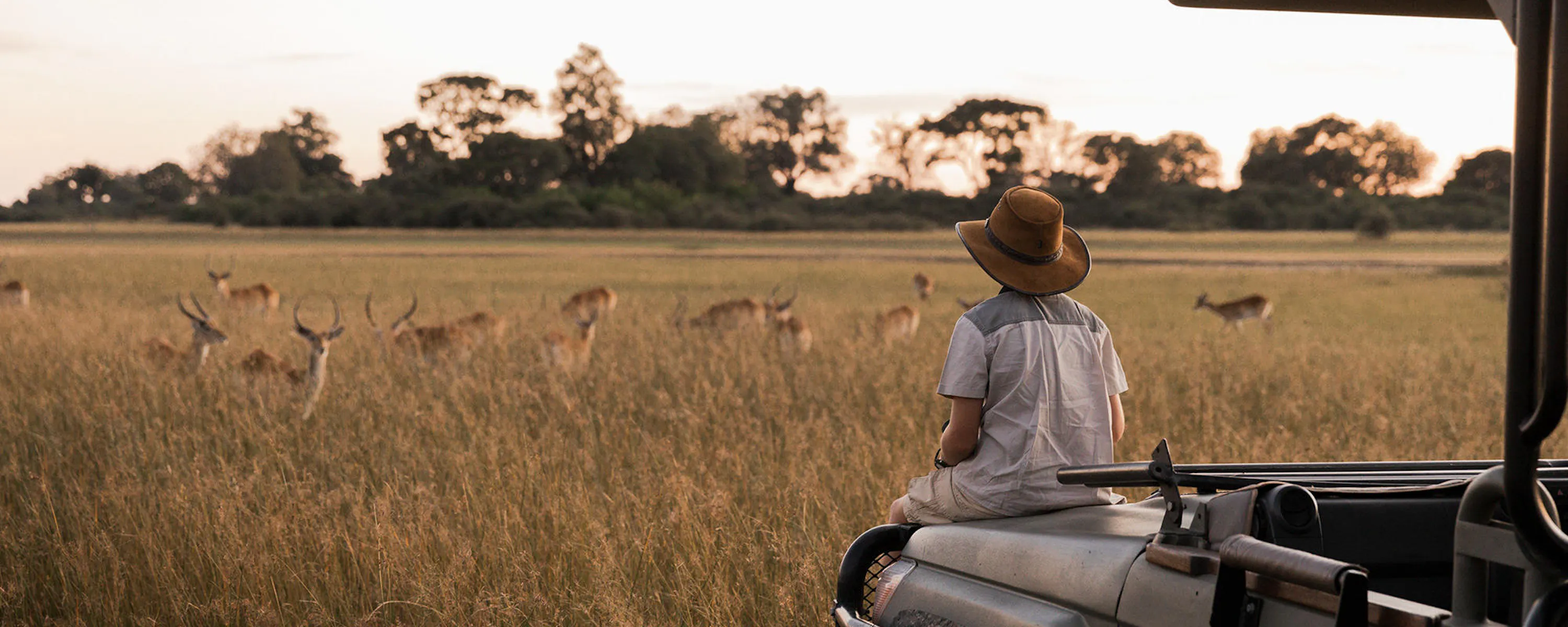 A passenger in an open safari vehicle watches antelope grazing in tall grass as evening light fades across the plain.