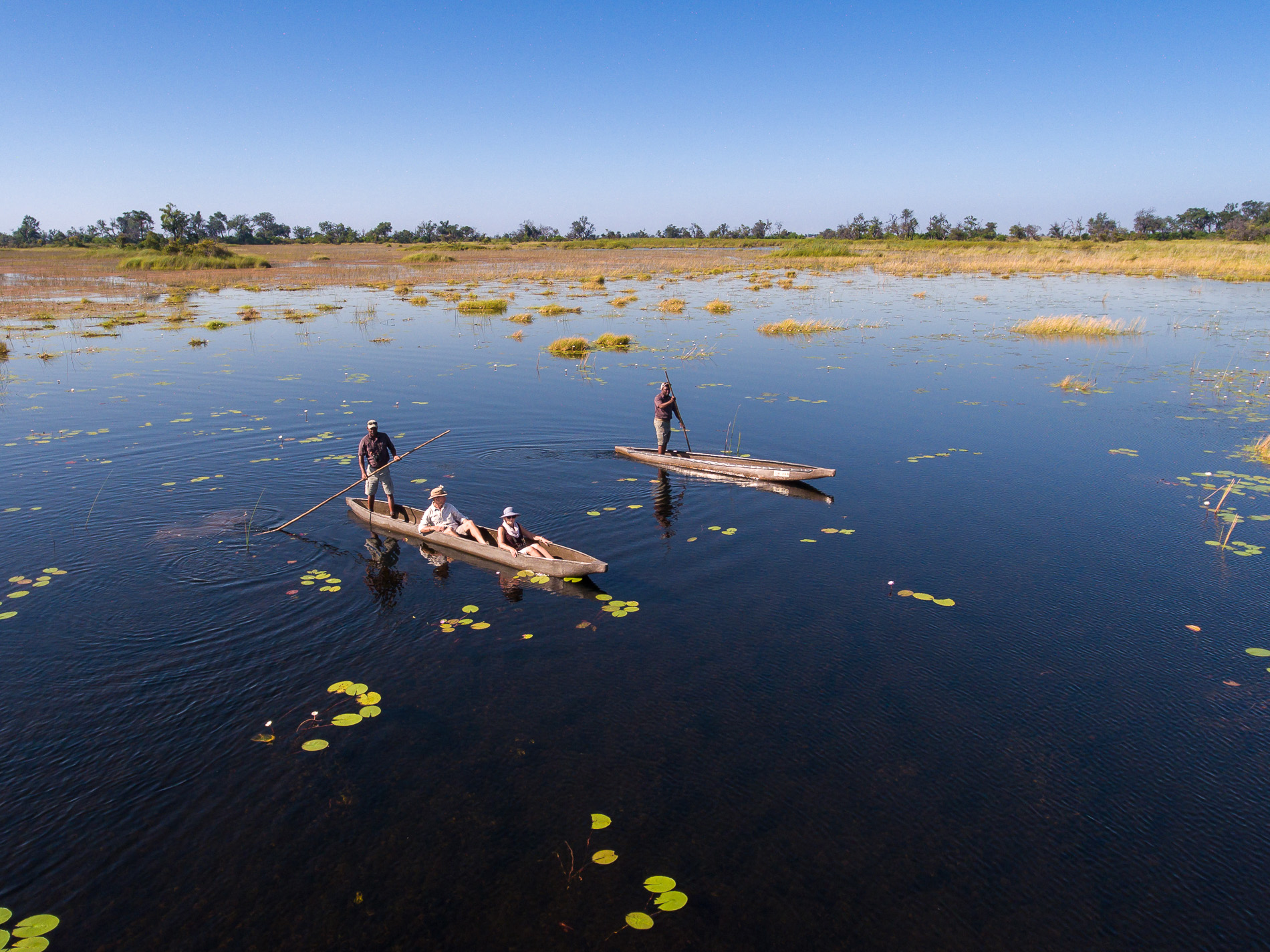 Two mokoro canoes glide over blue water dotted with lily pads, leaving soft ripples across the calm delta.