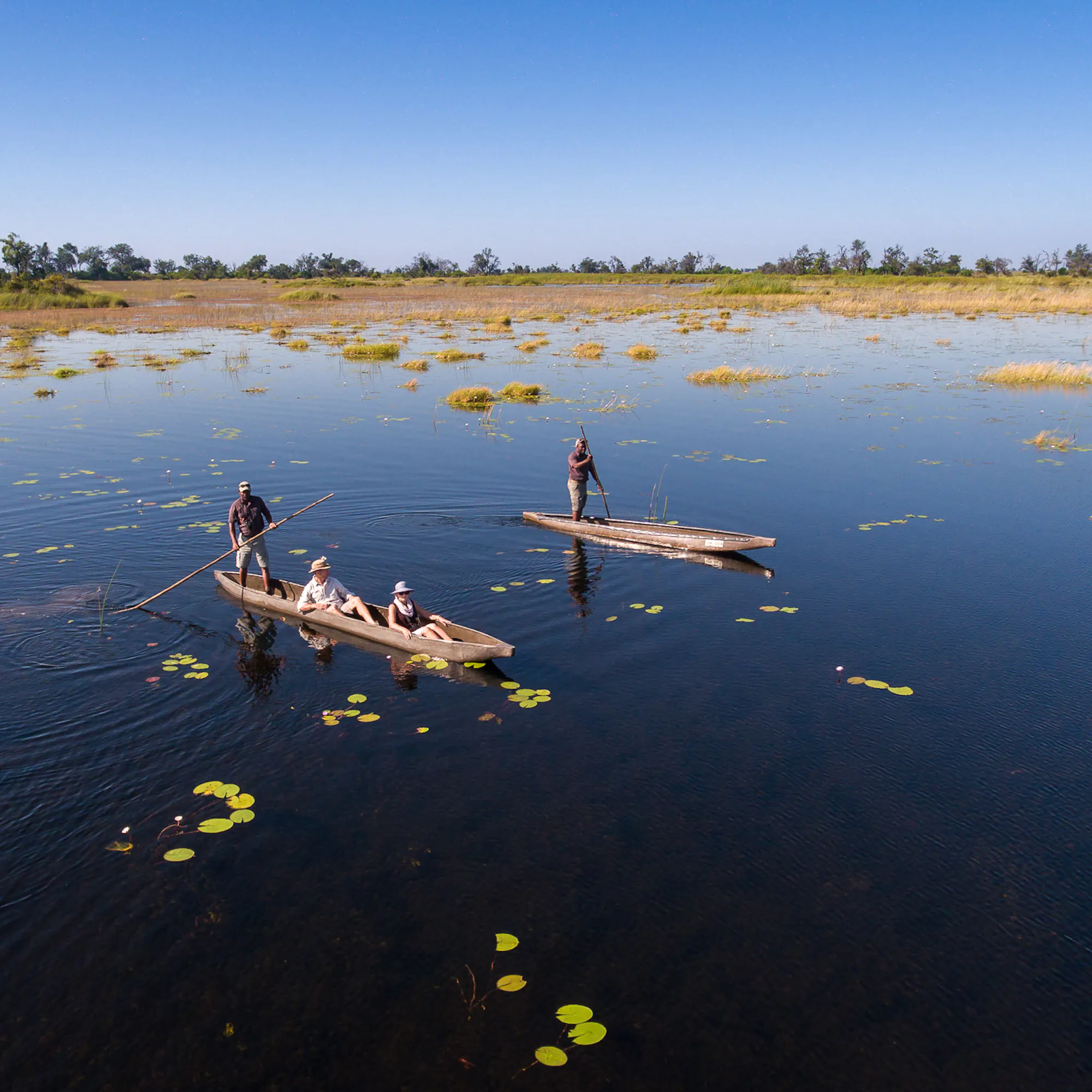 Two mokoro canoes glide over blue water dotted with lily pads, leaving soft ripples across the calm delta.