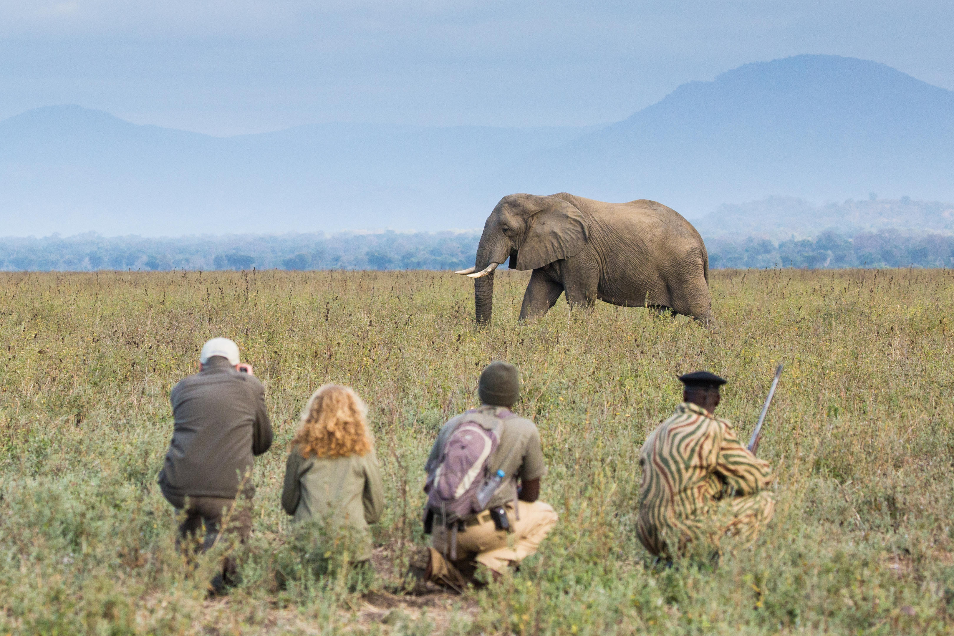 Four people sit in tall grass watching elephants cross the plain, with soft morning haze hanging in the air.