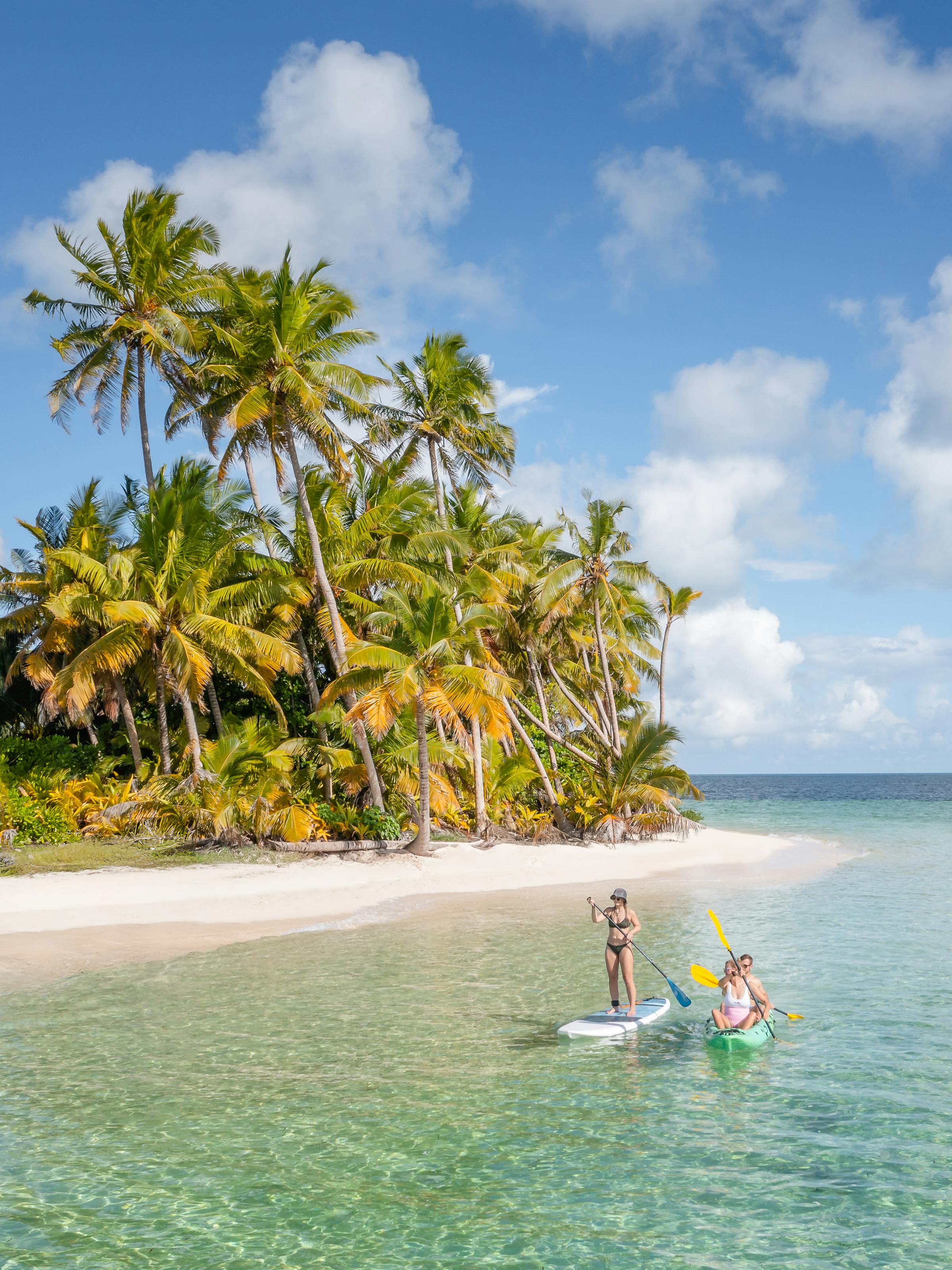 A lone swimmer floats in clear turquoise water near a white-sand beach lined with palms under a bright sky.