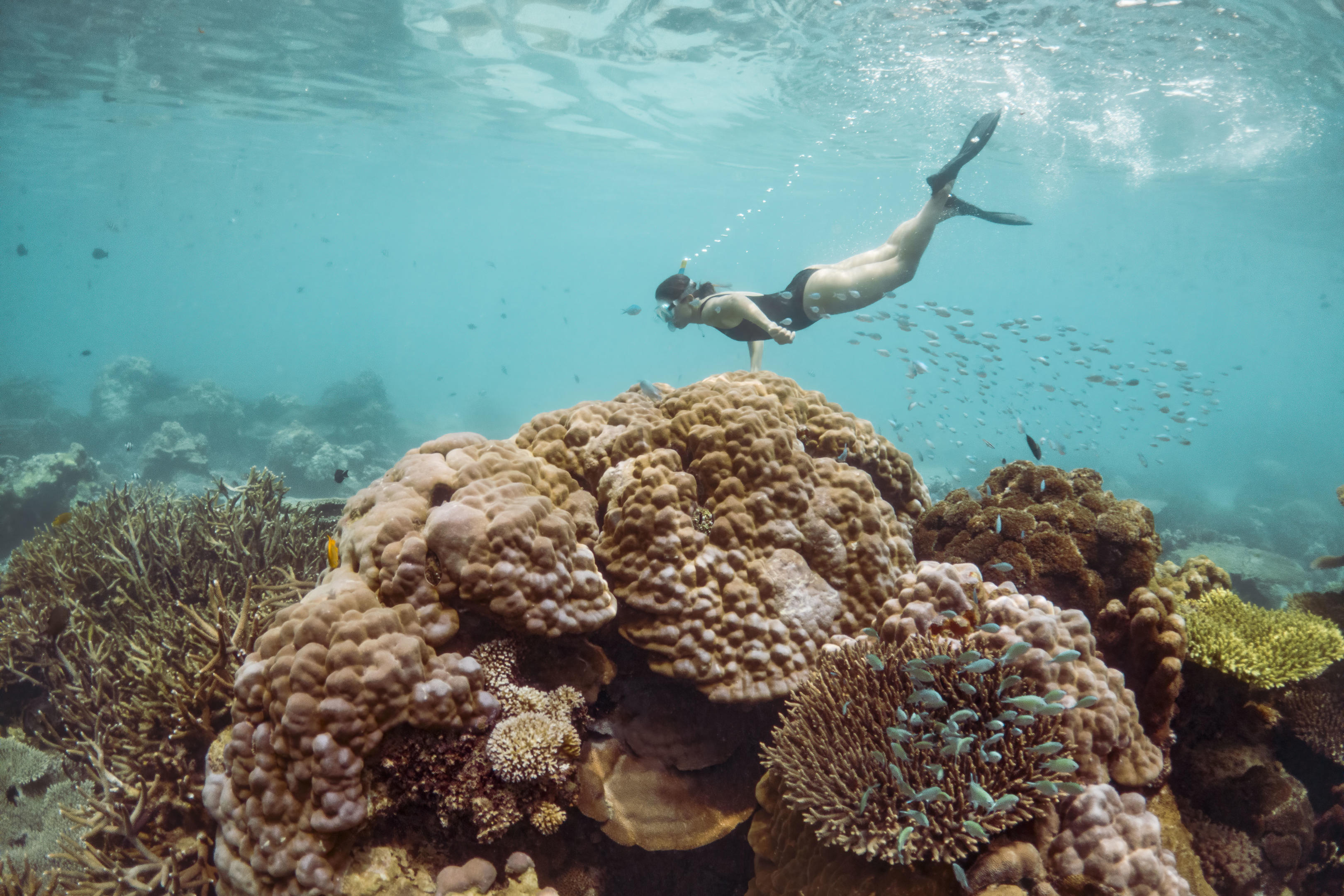 A snorkeler glides above a coral reef in clear turquoise water, bubbles trailing up toward the bright surface.