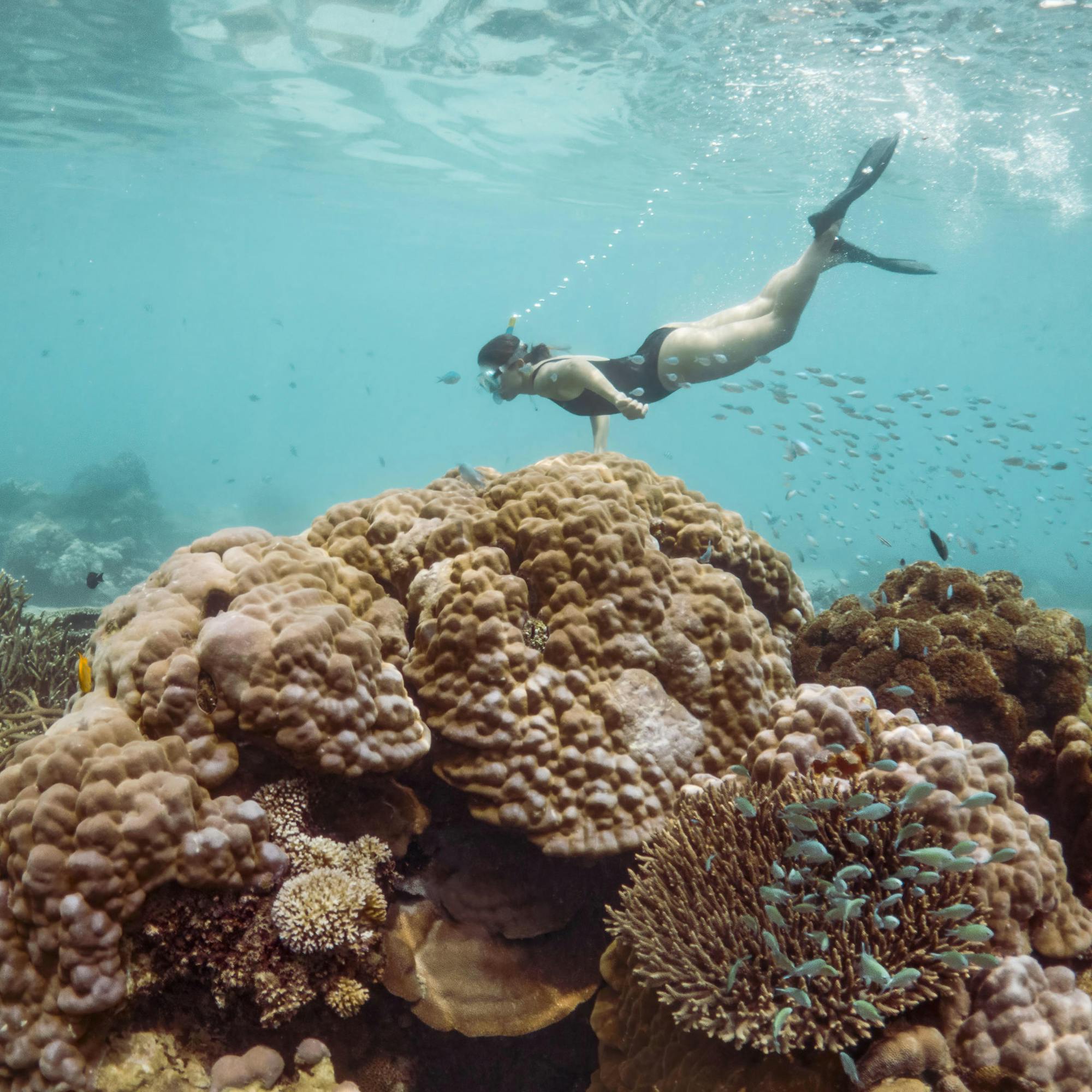 A snorkeler glides above a coral reef in clear turquoise water, bubbles trailing up toward the bright surface.