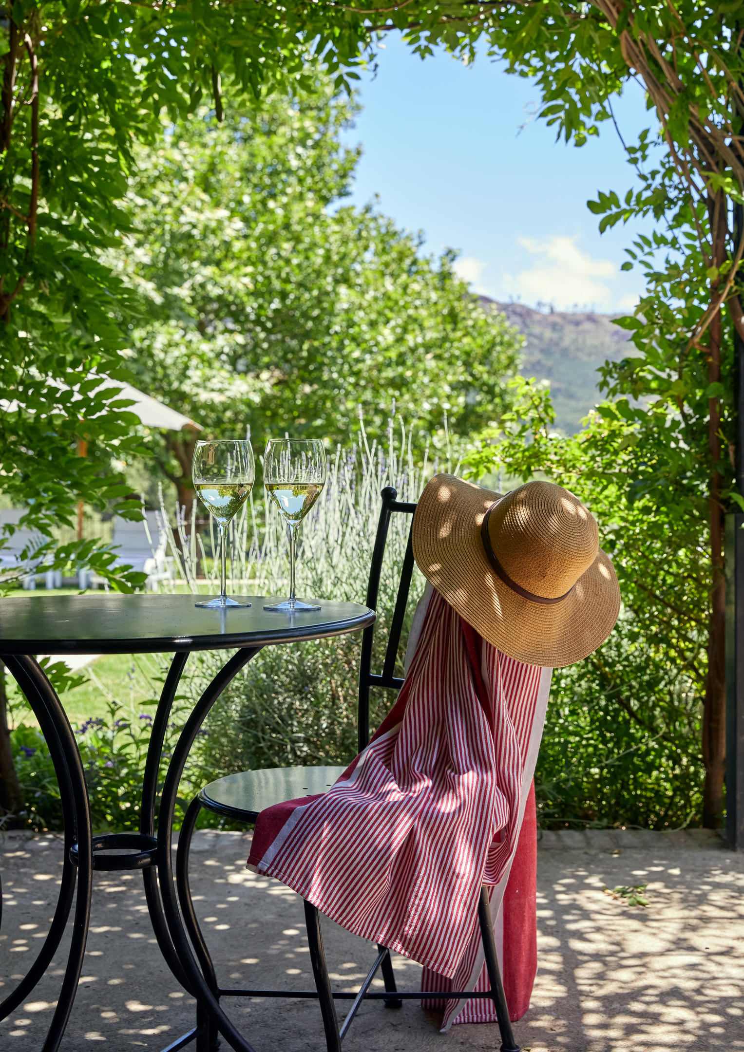 Wine glasses and a set table sit beneath a vine-covered pergola, with vineyard rows and mountains beyond.