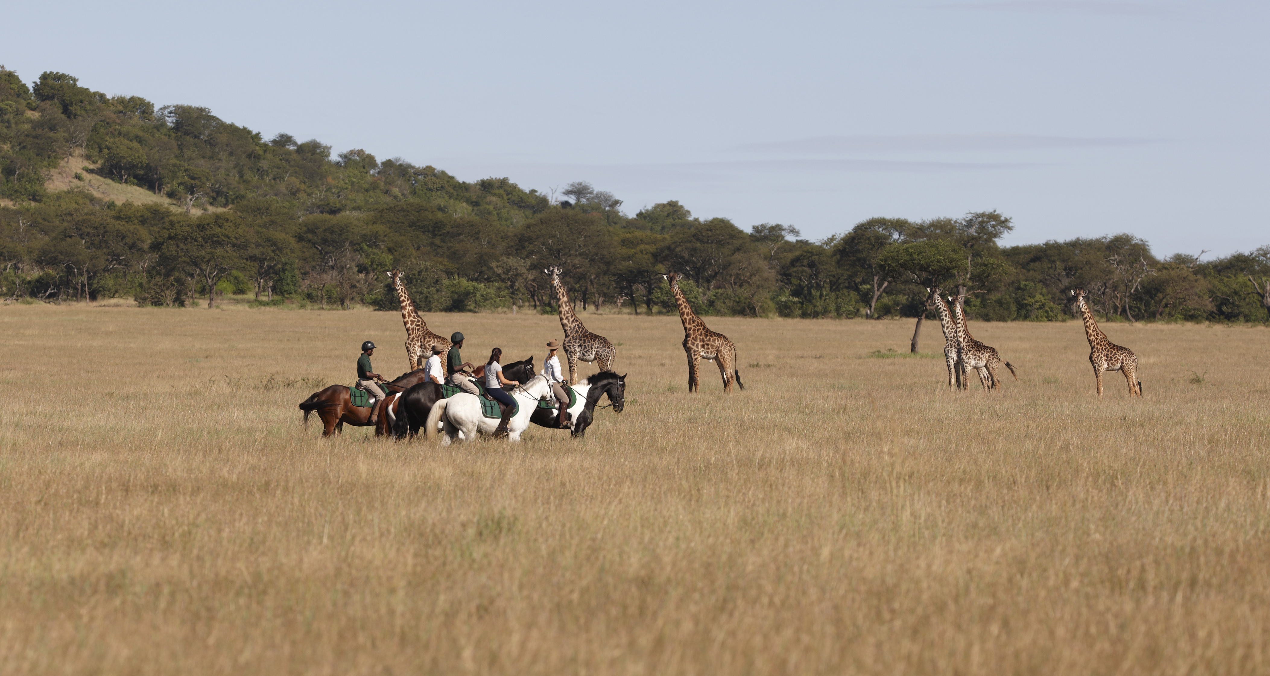 Riders on horseback cross open savanna while giraffes graze nearby, with low hills and acacia trees beyond.