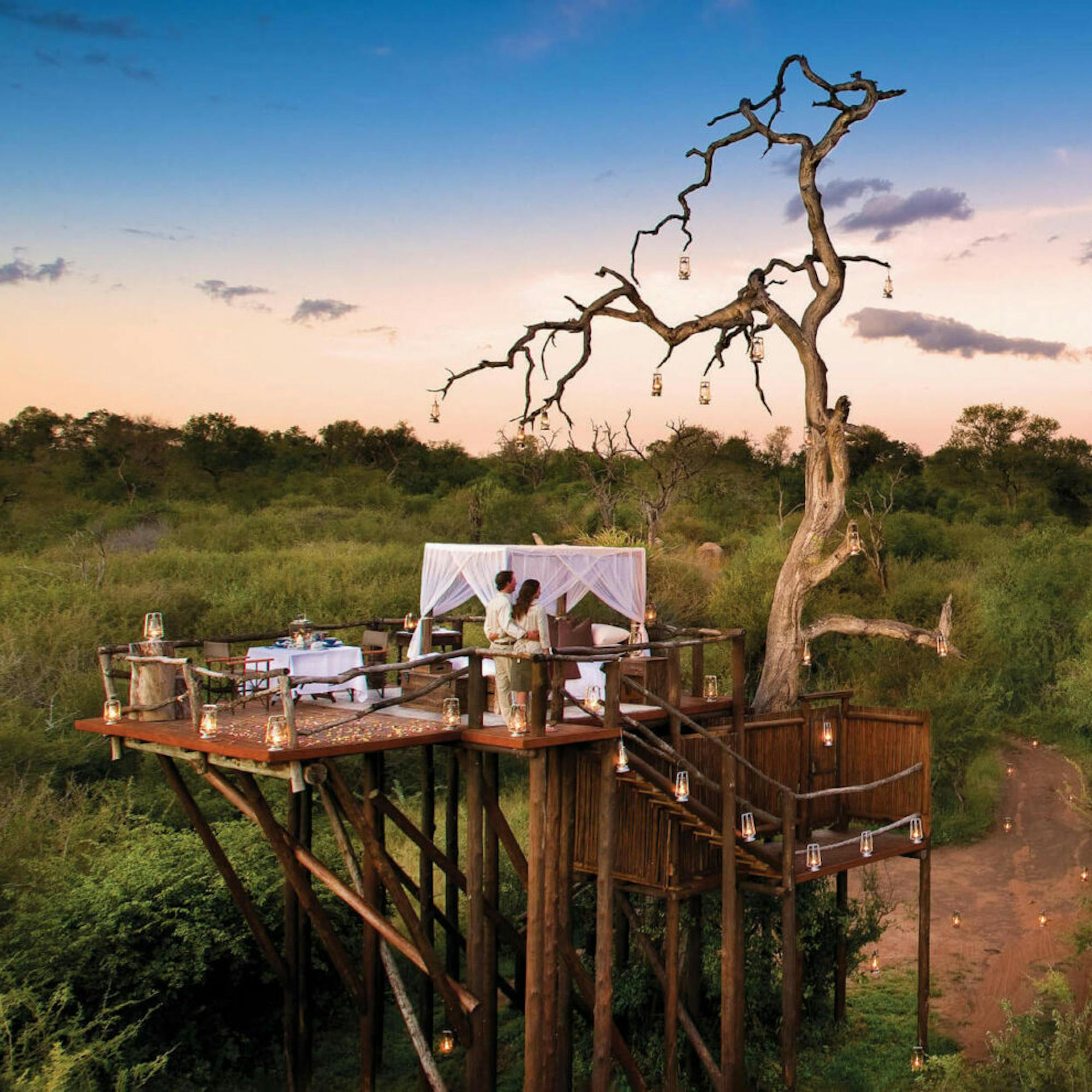 An elevated dining deck wraps around a bare tree at dusk, with a set table overlooking green bush and pink sky.