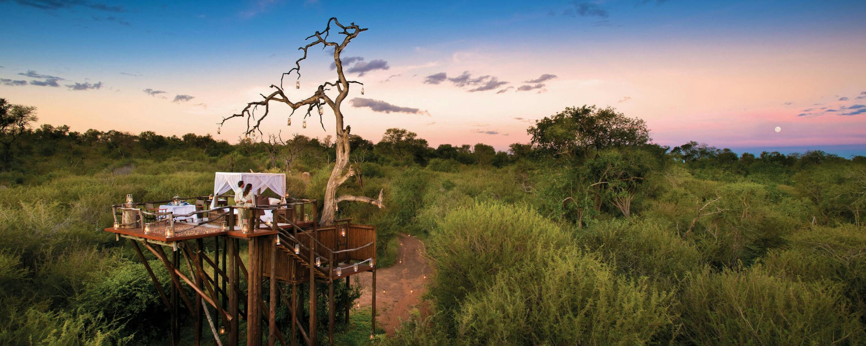 An elevated dining deck wraps around a bare tree at dusk, with a set table overlooking green bush and pink sky.