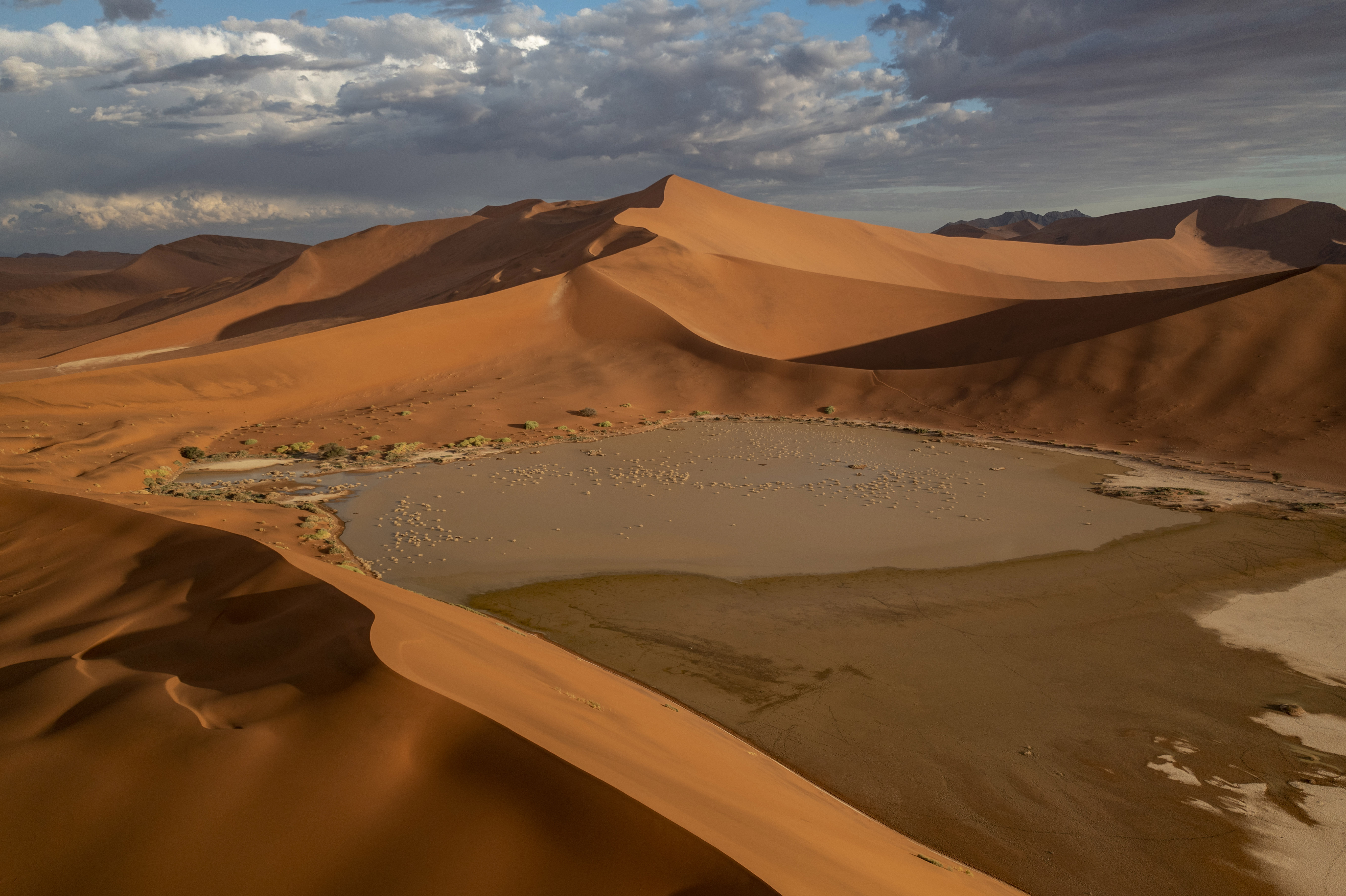 Sweeping red sand dunes curve around a pale salt pan, casting long shadows beneath a dramatic evening sky.