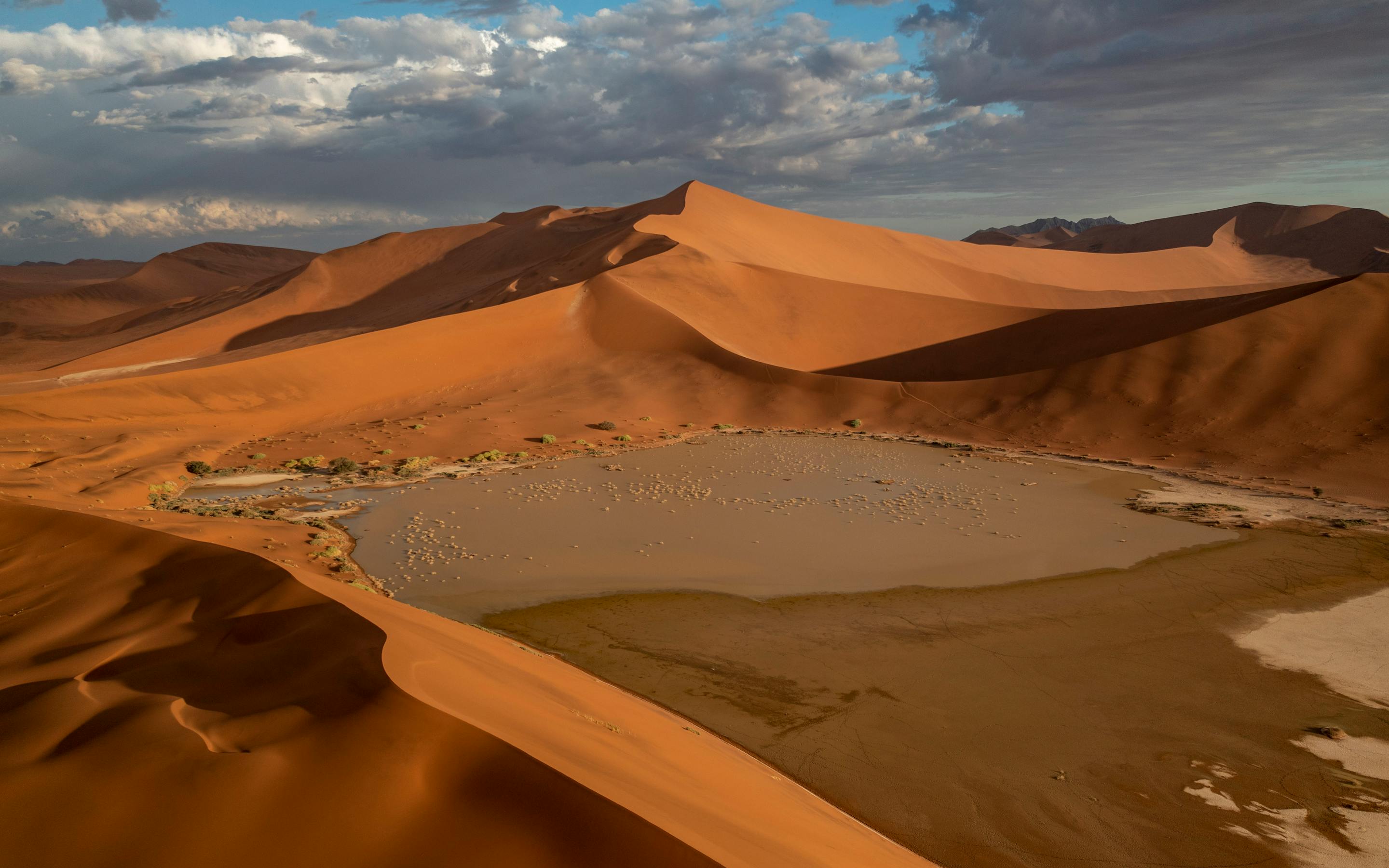 Sweeping red sand dunes curve around a pale salt pan, casting long shadows beneath a dramatic evening sky.