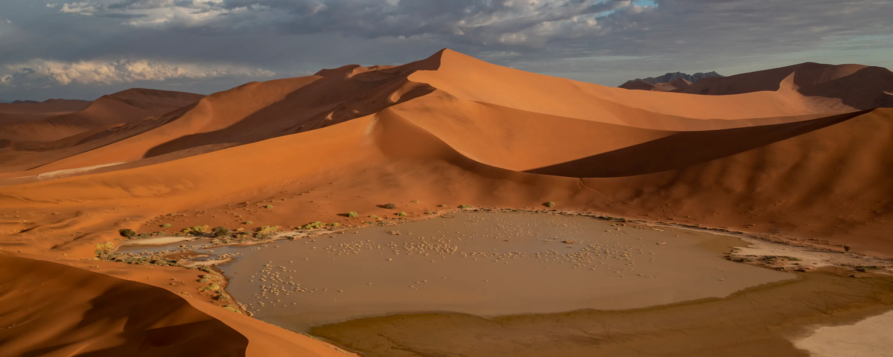 Sweeping red sand dunes curve around a pale salt pan, casting long shadows beneath a dramatic evening sky.