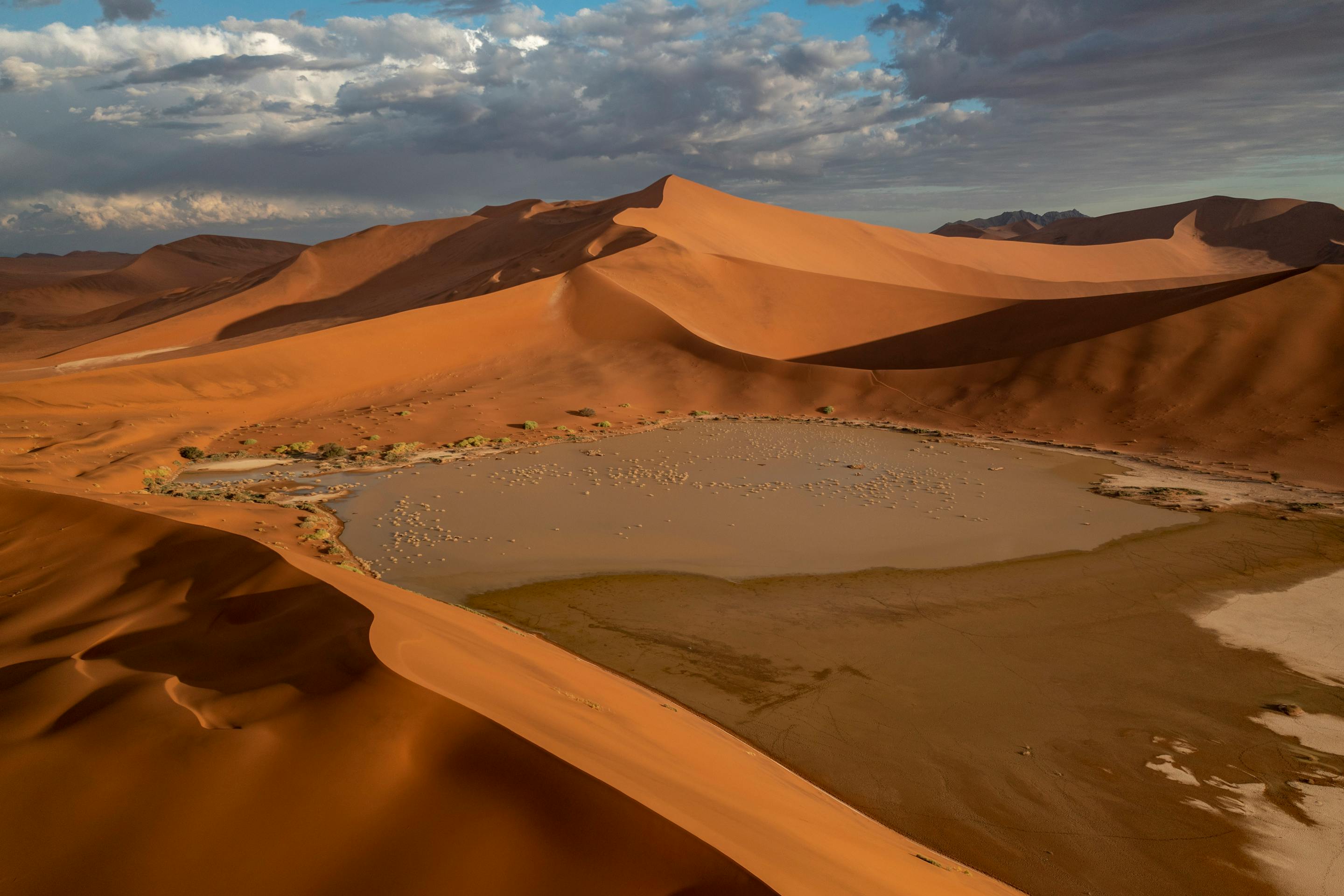 Sweeping red sand dunes curve around a pale salt pan, casting long shadows beneath a dramatic evening sky.