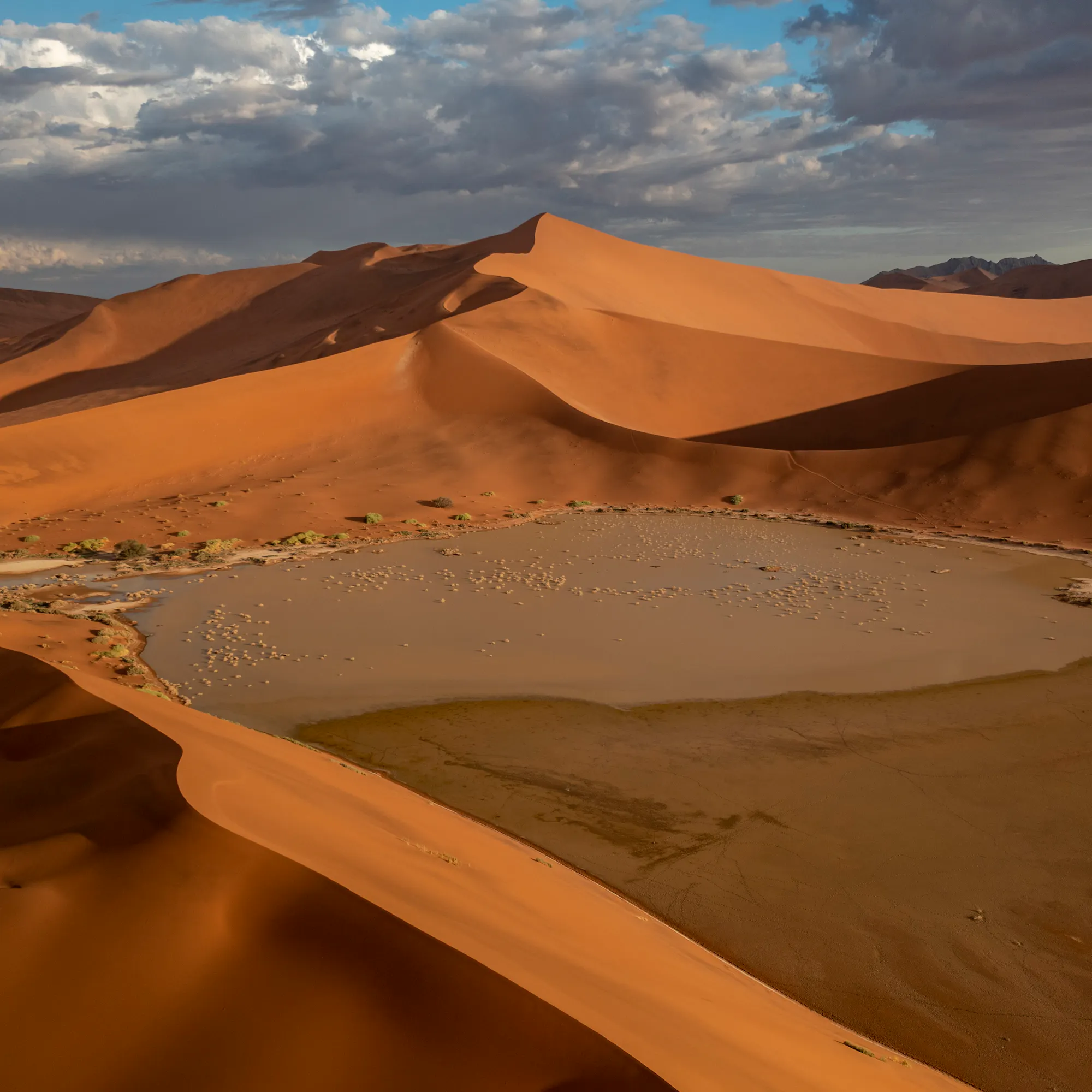 Sweeping red sand dunes curve around a pale salt pan, casting long shadows beneath a dramatic evening sky.