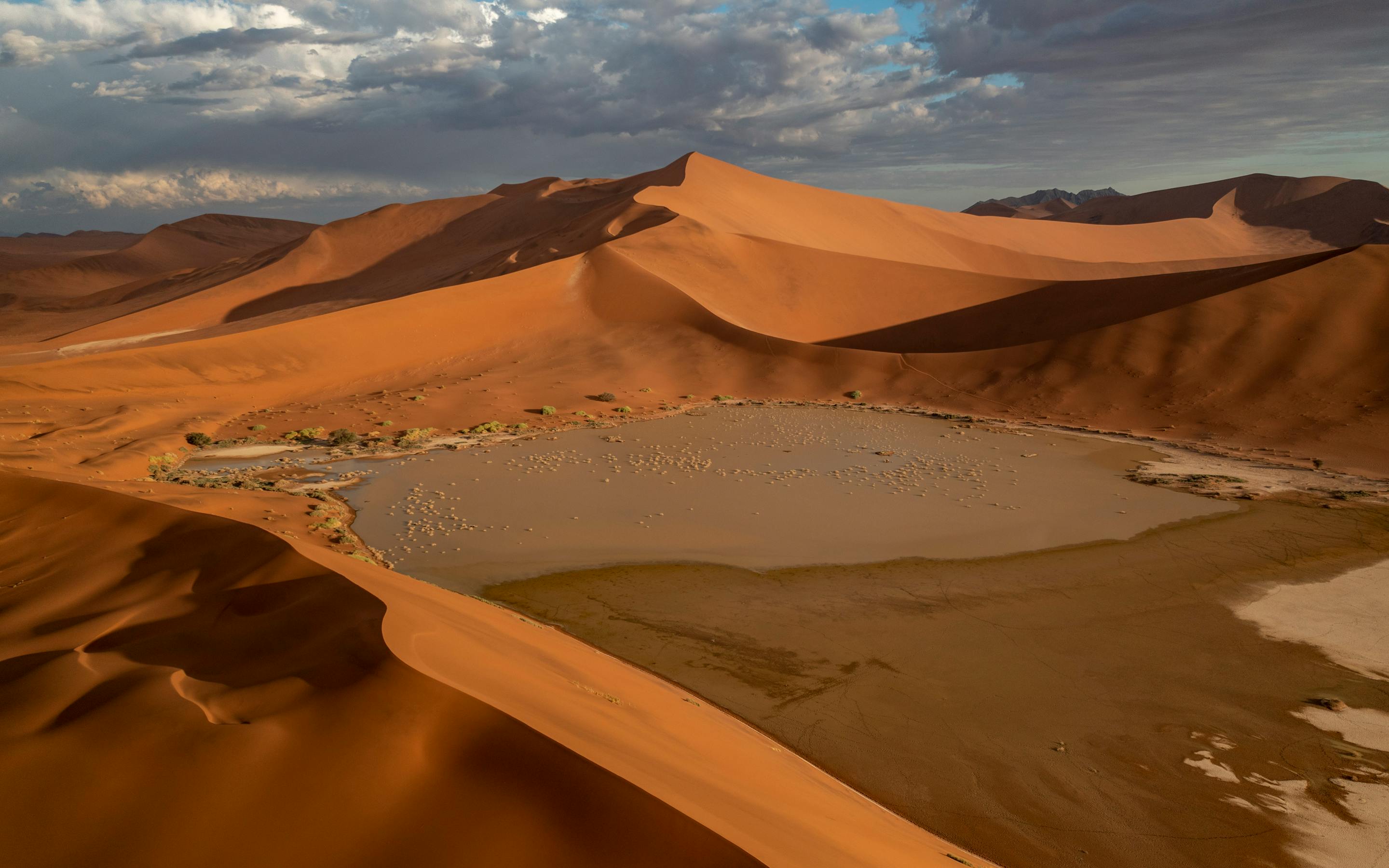 Sweeping red sand dunes curve around a pale salt pan, casting long shadows beneath a dramatic evening sky.