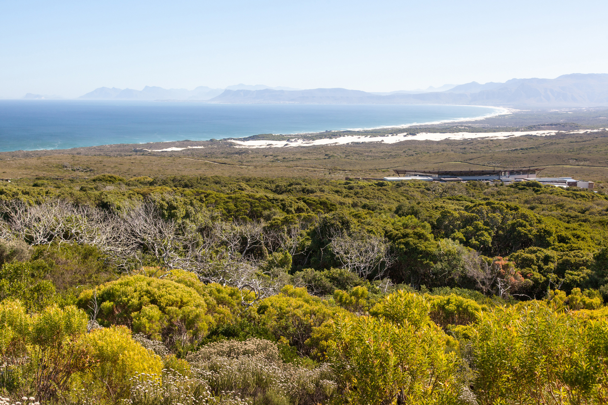 A forest lodge sits amid dense green vegetation, with rolling hills and a pale horizon under a soft sky overhead.