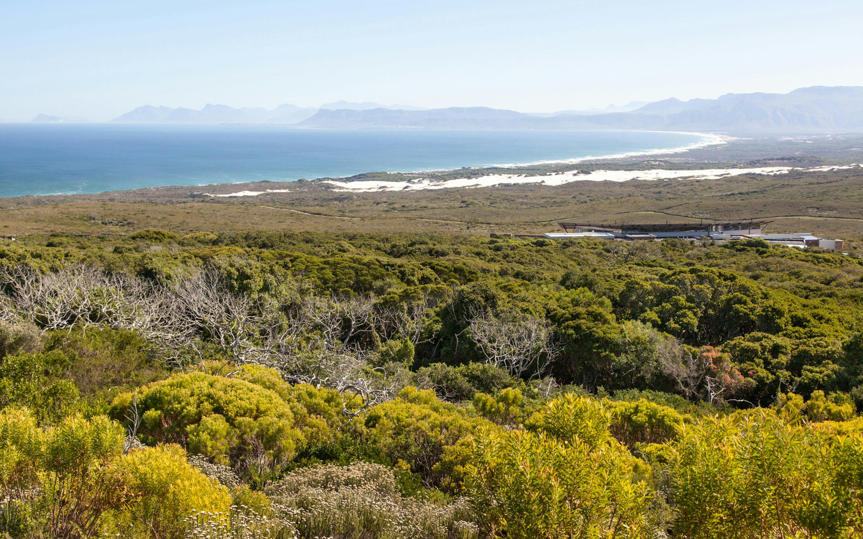 A forest lodge sits amid dense green vegetation, with rolling hills and a pale horizon under a soft sky overhead.