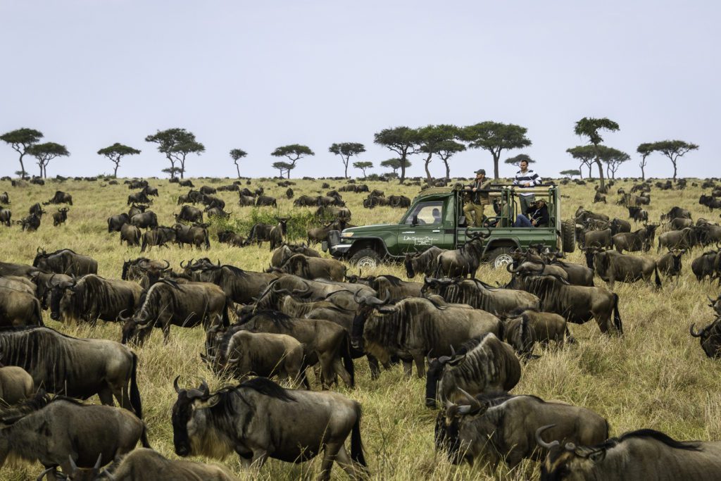 An open safari vehicle pauses beside a vast wildebeest herd on the savanna, with acacia trees on the horizon.