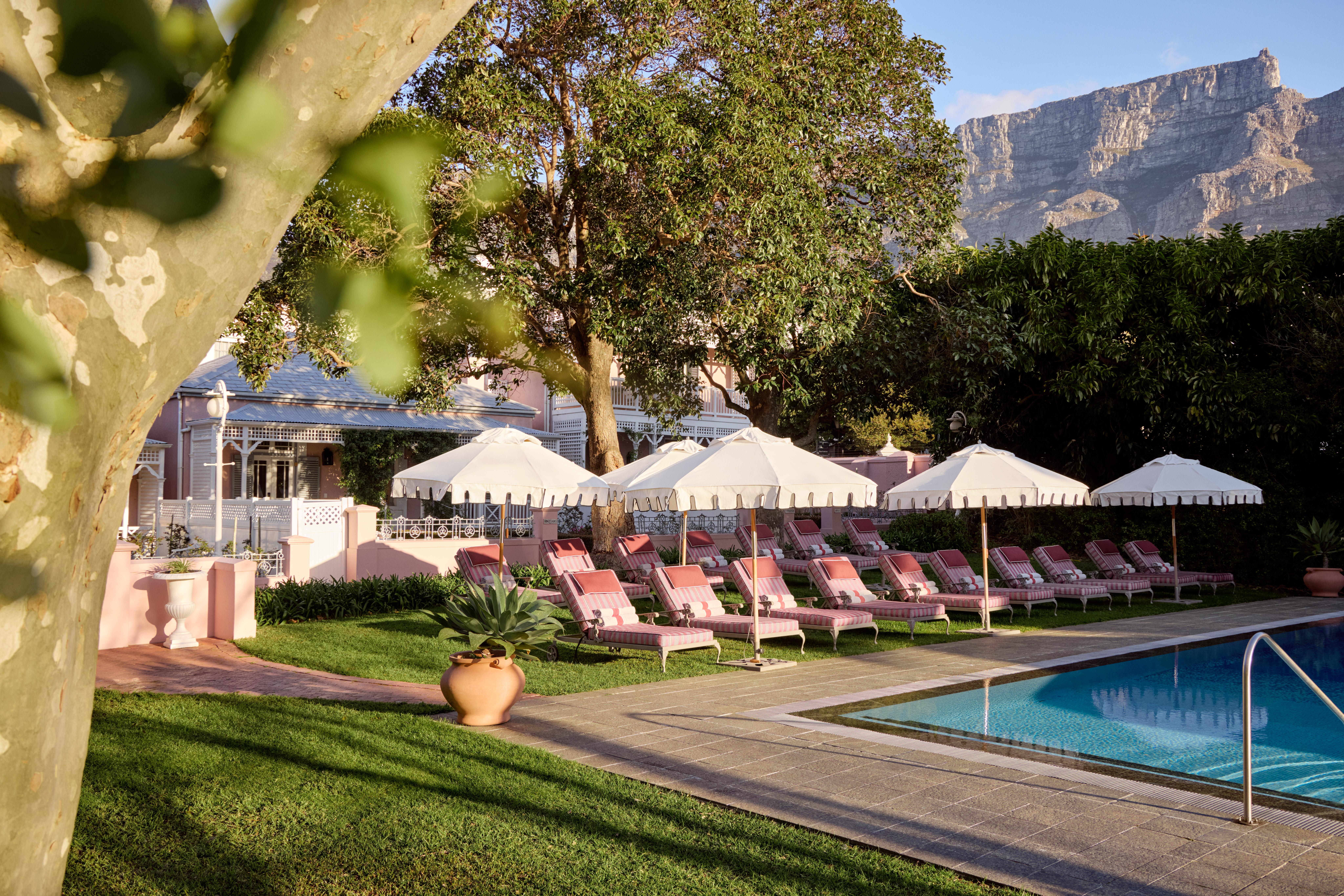 Sunlit hotel pool lined with pink loungers and white umbrellas, with leafy gardens and tall mountains beyond.