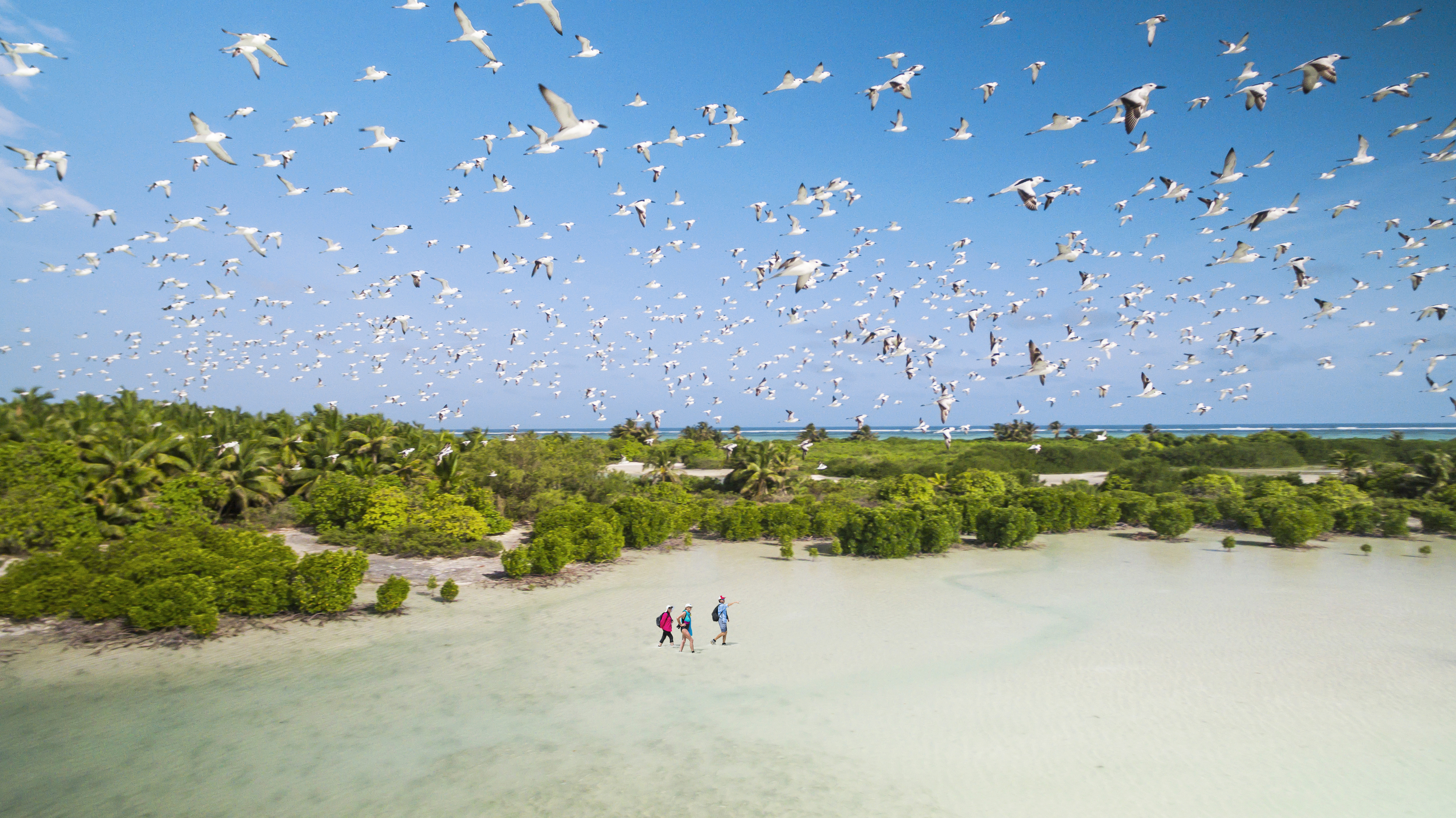 People wade across a shallow lagoon as seabirds wheel overhead, leaving footprints on the pale sand flat.