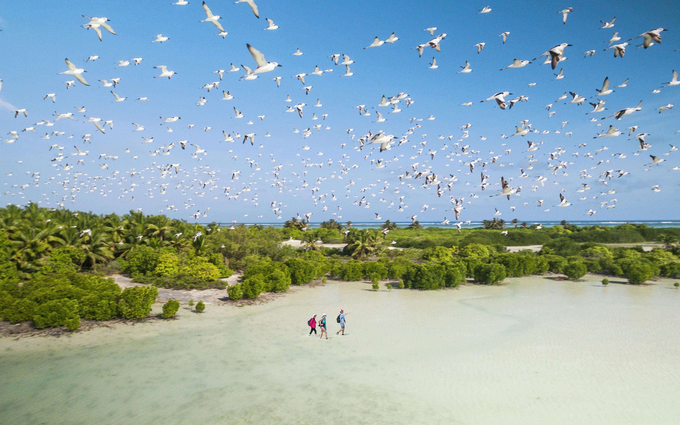 People wade across a shallow lagoon as seabirds wheel overhead, leaving footprints on the pale sand flat.
