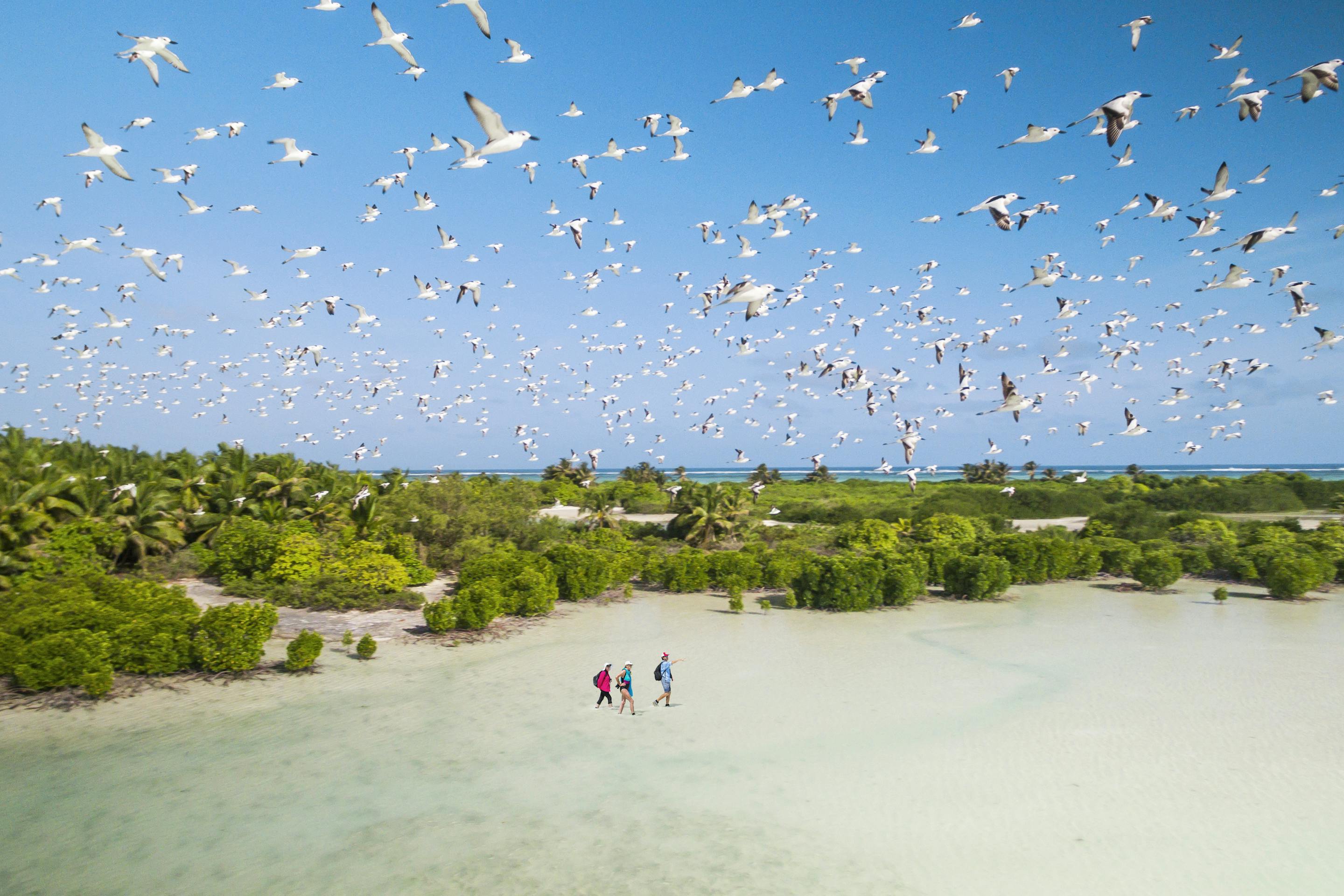 People wade across a shallow lagoon as seabirds wheel overhead, leaving footprints on the pale sand flat.