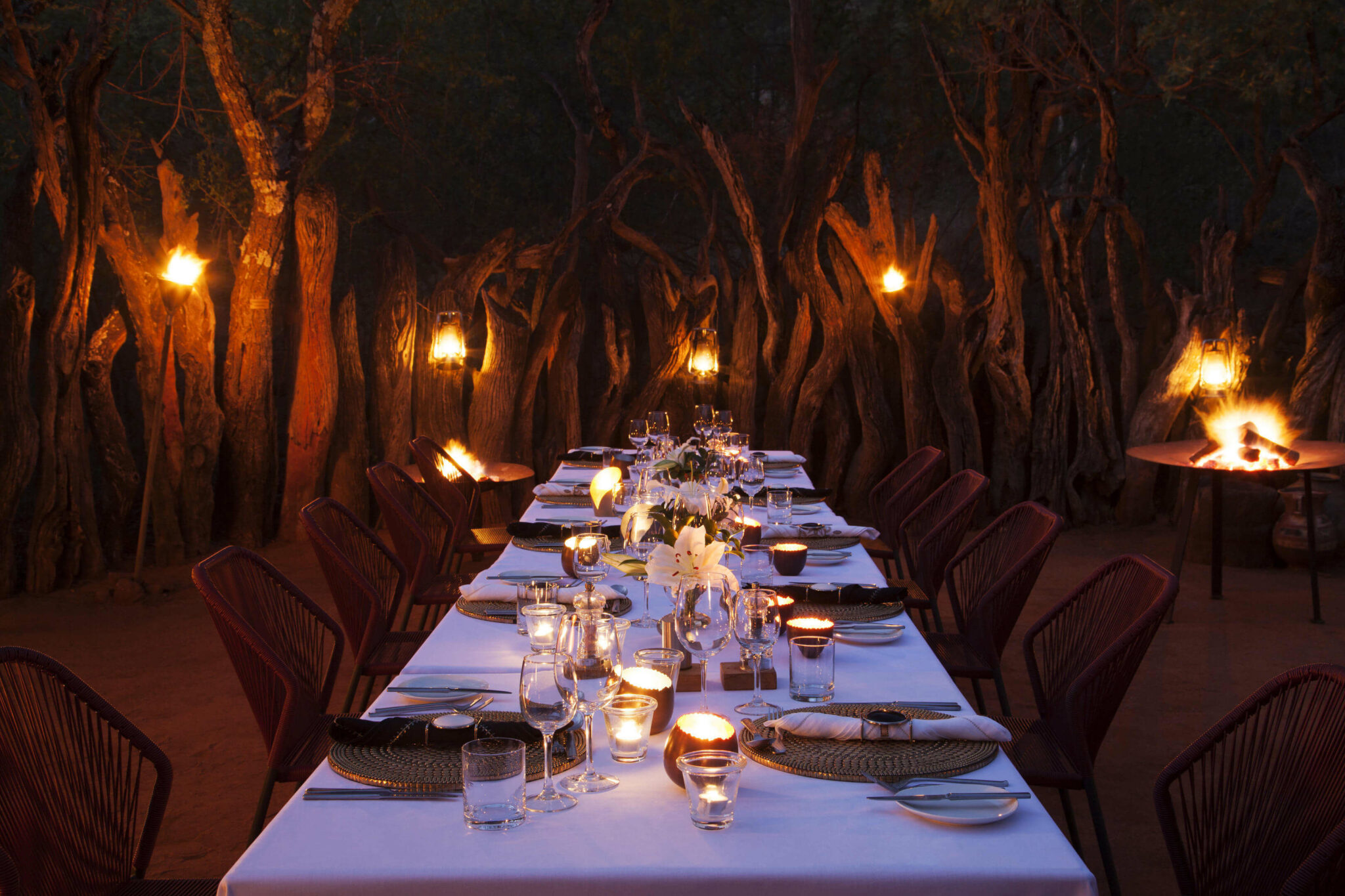A long dinner table is set in a woodland boma at night, lit by candles and lanterns among tall tree trunks.