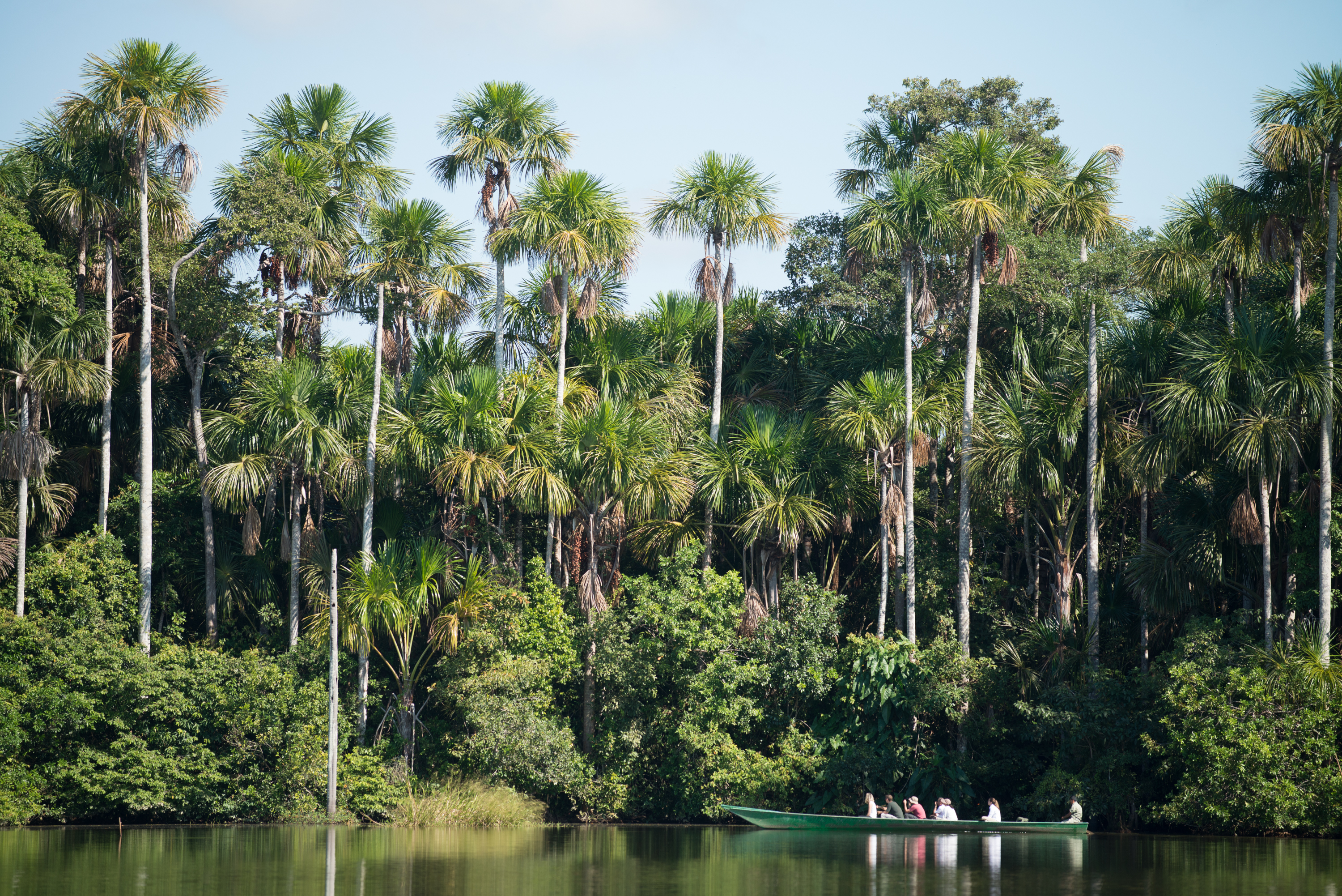 Palm-lined river bordered by lush jungle, with a small canoe gliding on calm water beneath a bright afternoon sky.