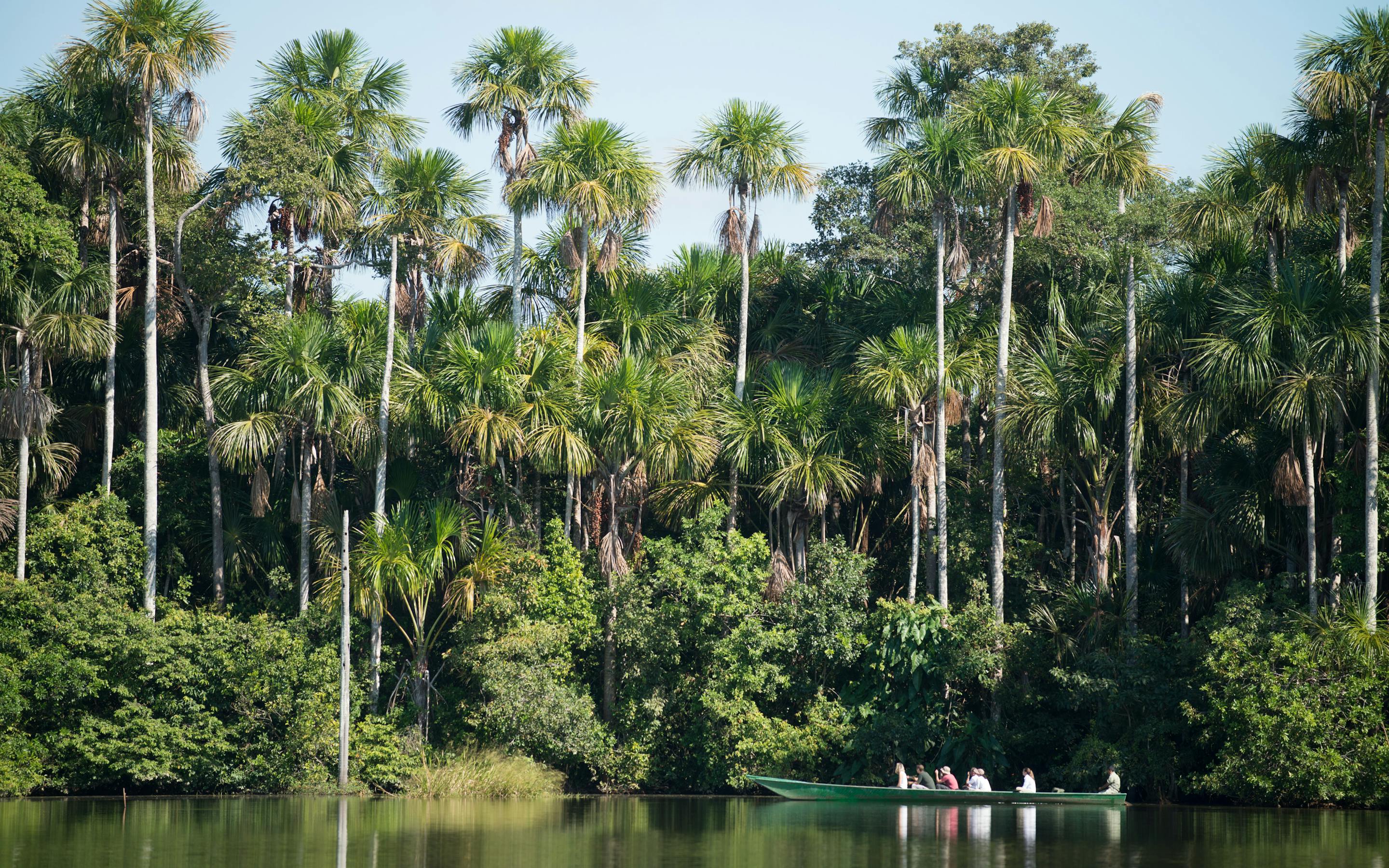 Palm-lined river bordered by lush jungle, with a small canoe gliding on calm water beneath a bright afternoon sky.