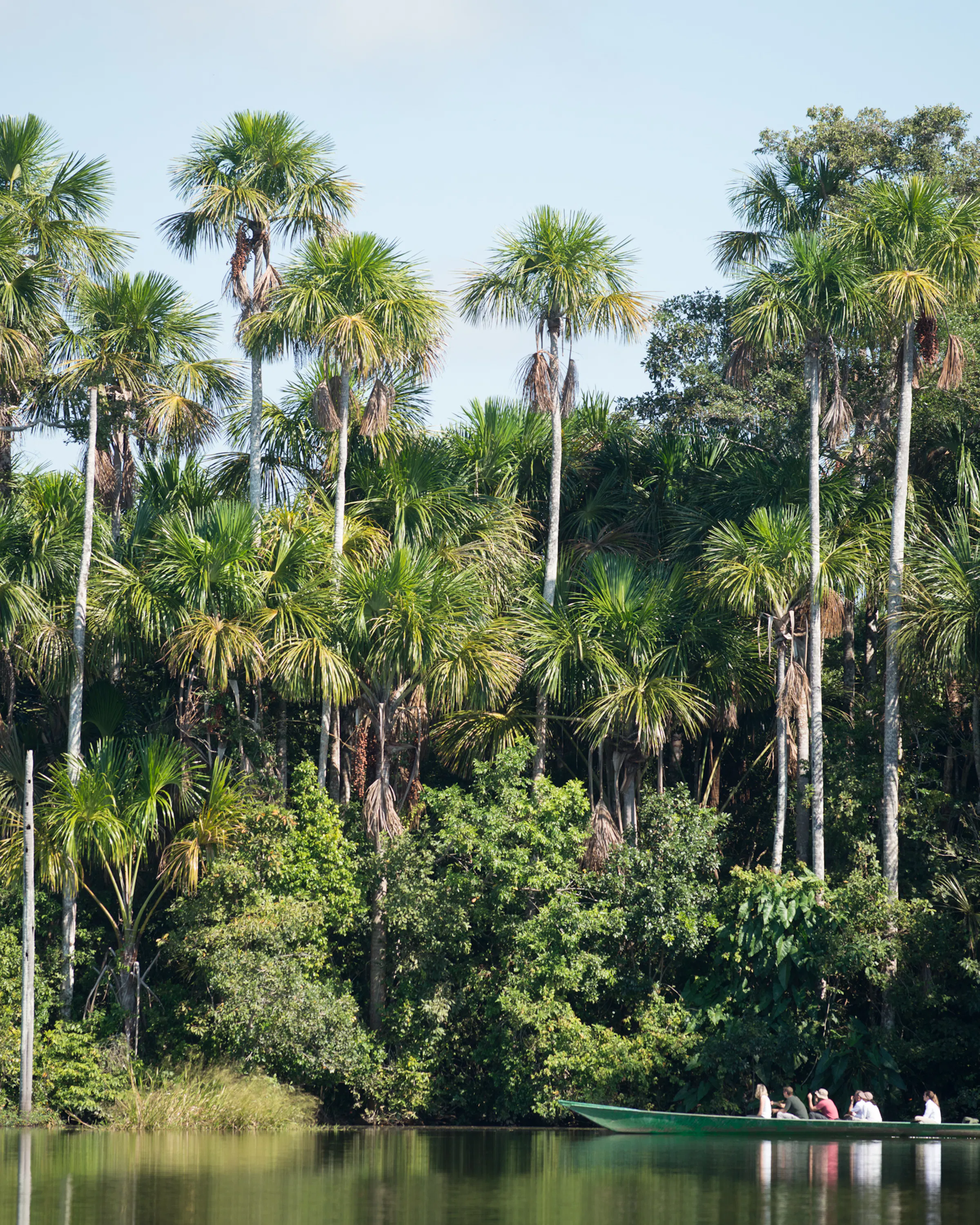 Palm-lined river bordered by lush jungle, with a small canoe gliding on calm water beneath a bright afternoon sky.