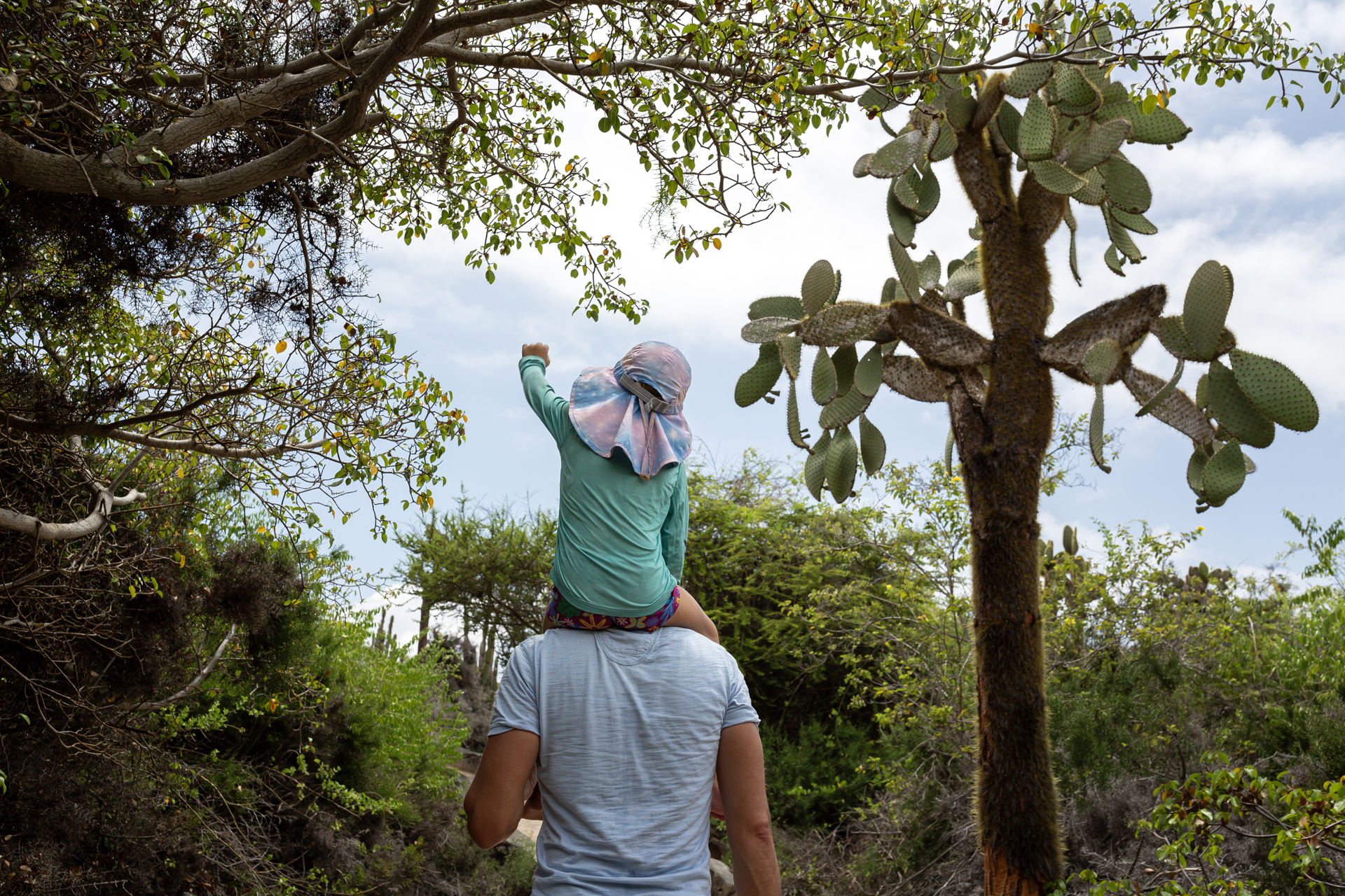 A man carries a small child on his shoulders beneath leafy trees, walking along a shaded forest path slowly.