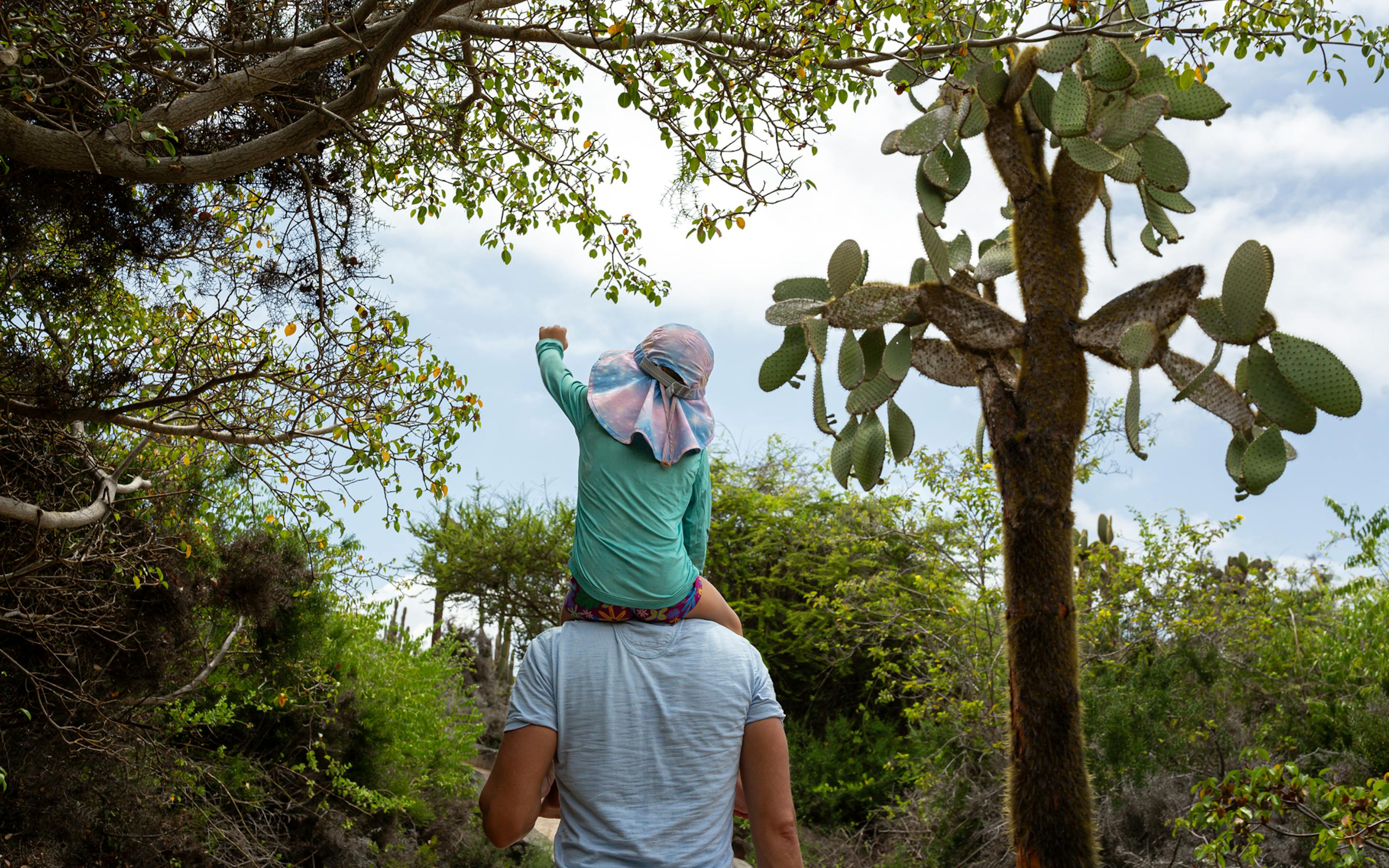 A man carries a small child on his shoulders beneath leafy trees, walking along a shaded forest path slowly.